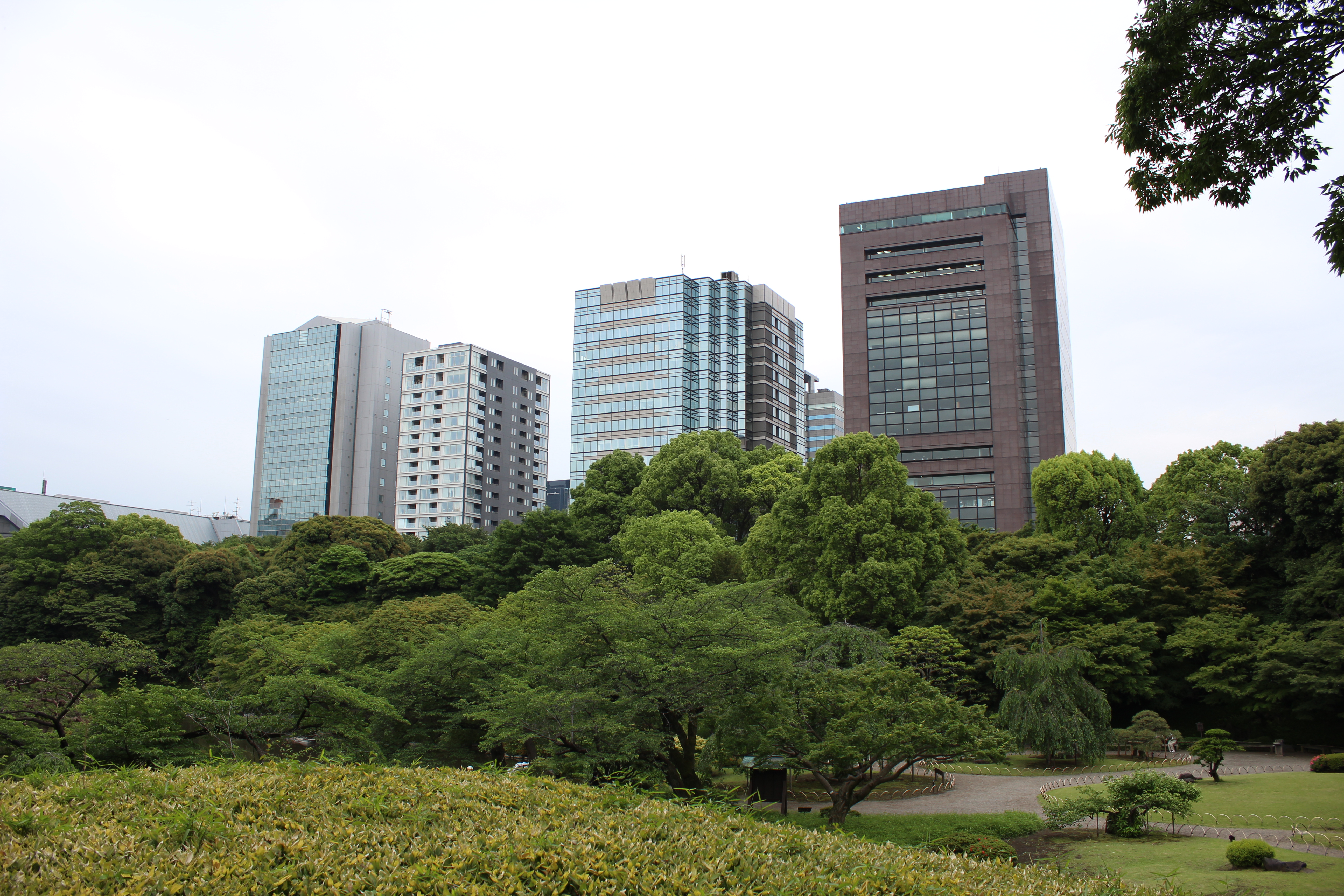 <b>【EOS Kiss X5】F5.6 / EF-S 18-55mm F3.5-5.6 IS II / 約7.0MB / 5,184×3,456 / 1/200秒 / 0.0EV / ISO100 / WB:オート / 18mm</b>