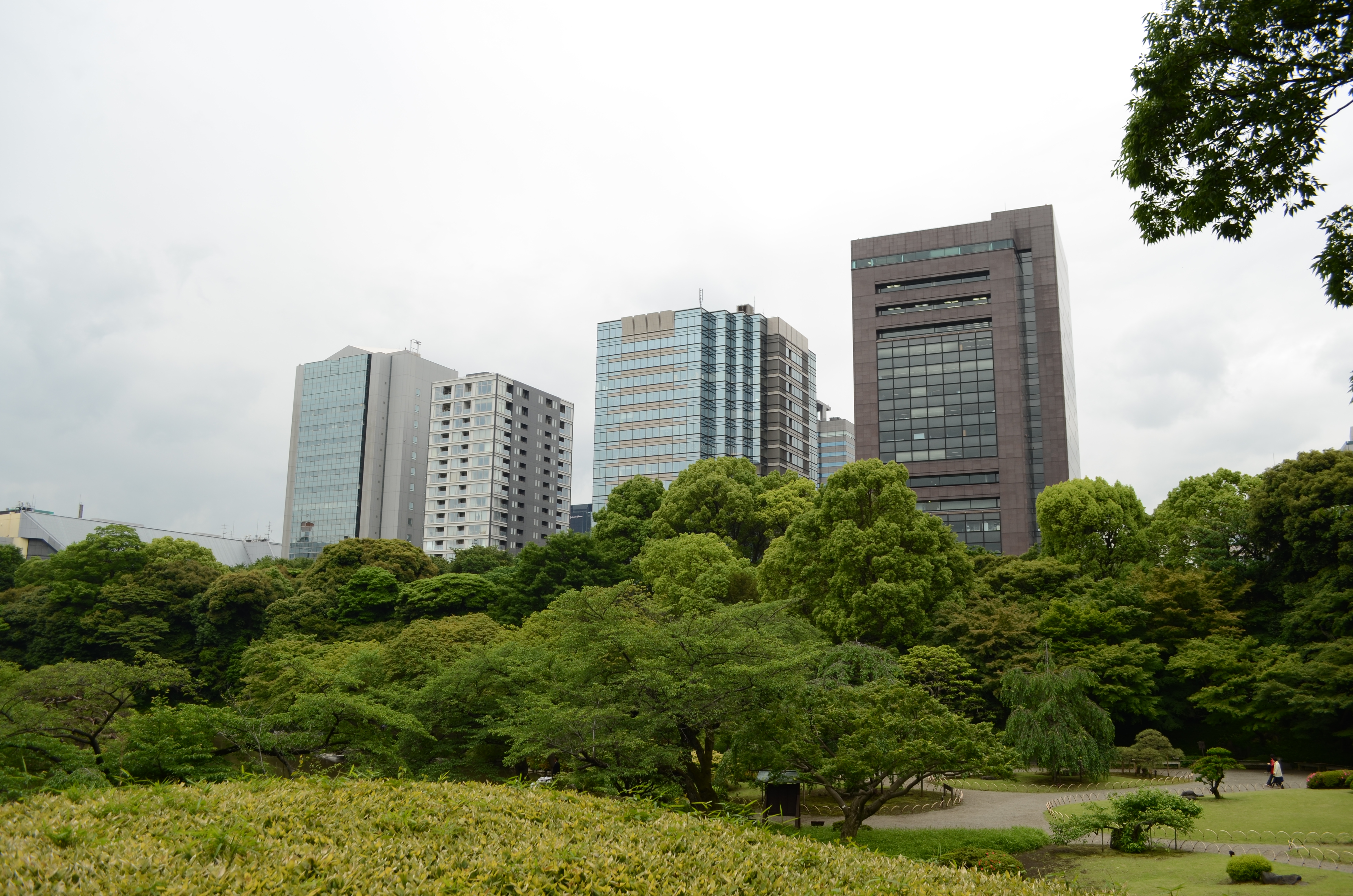 <b>【D5100】F5.6 / AF-S DX NIKKOR 18-55mm F3.5-5.6 G VR / 約6.2MB / 4,928×3,264 / 1/250秒 / 0.0EV / ISO100 / WB:オート / 18mm</b>