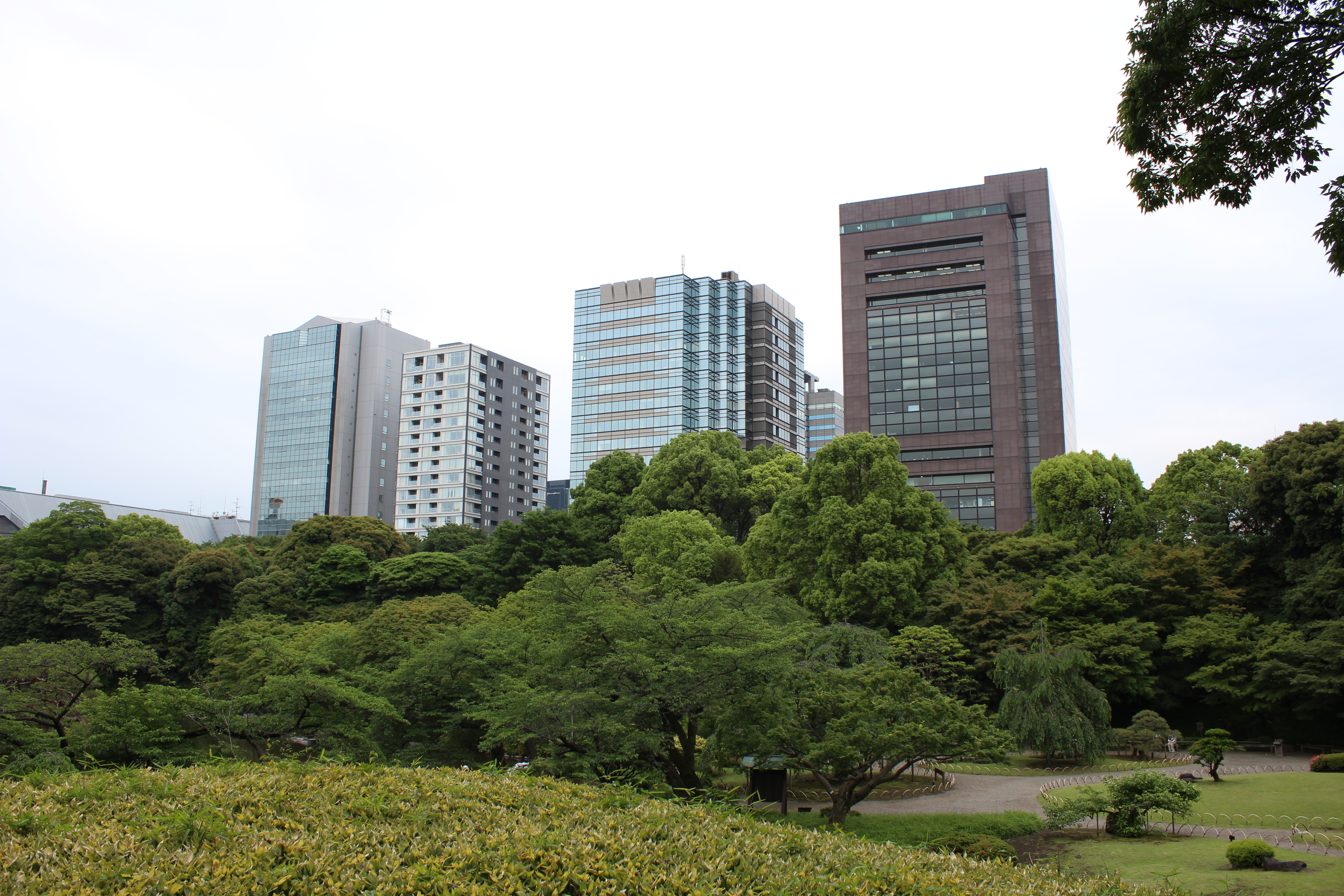 <b>【EOS Kiss X5】F8 / EF-S 18-55mm F3.5-5.6 IS II / 約6.9MB / 5,184×3,456 / 1/100秒 / 0.0EV / ISO100 / WB:オート / 18mm</b>