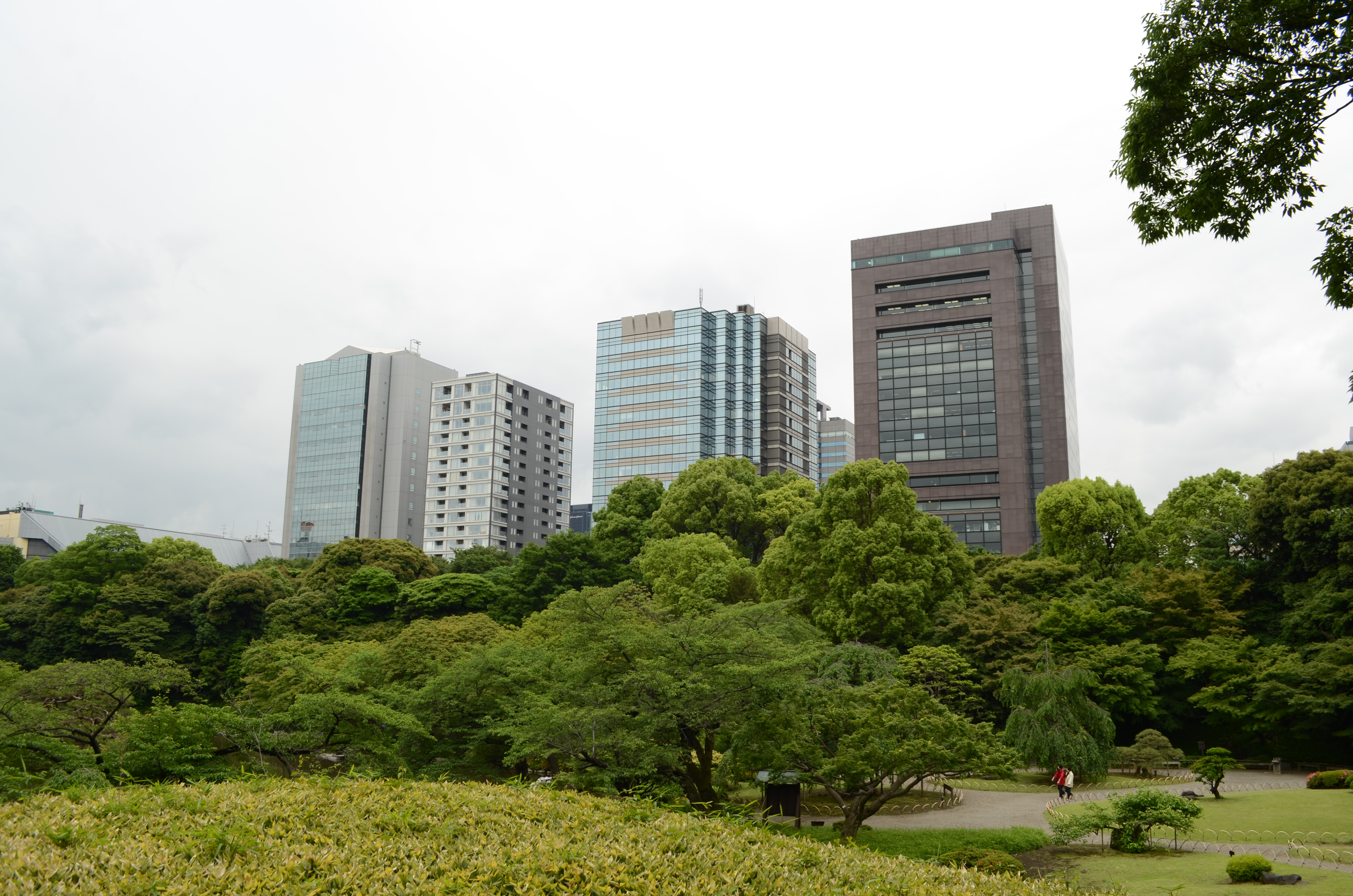 <b>【D5100】F8 / AF-S DX NIKKOR 18-55mm F3.5-5.6 G VR / 約6.2MB / 4,928×3,264 / 1/125秒 / 0.0EV / ISO100 / WB:オート / 18mm</b>