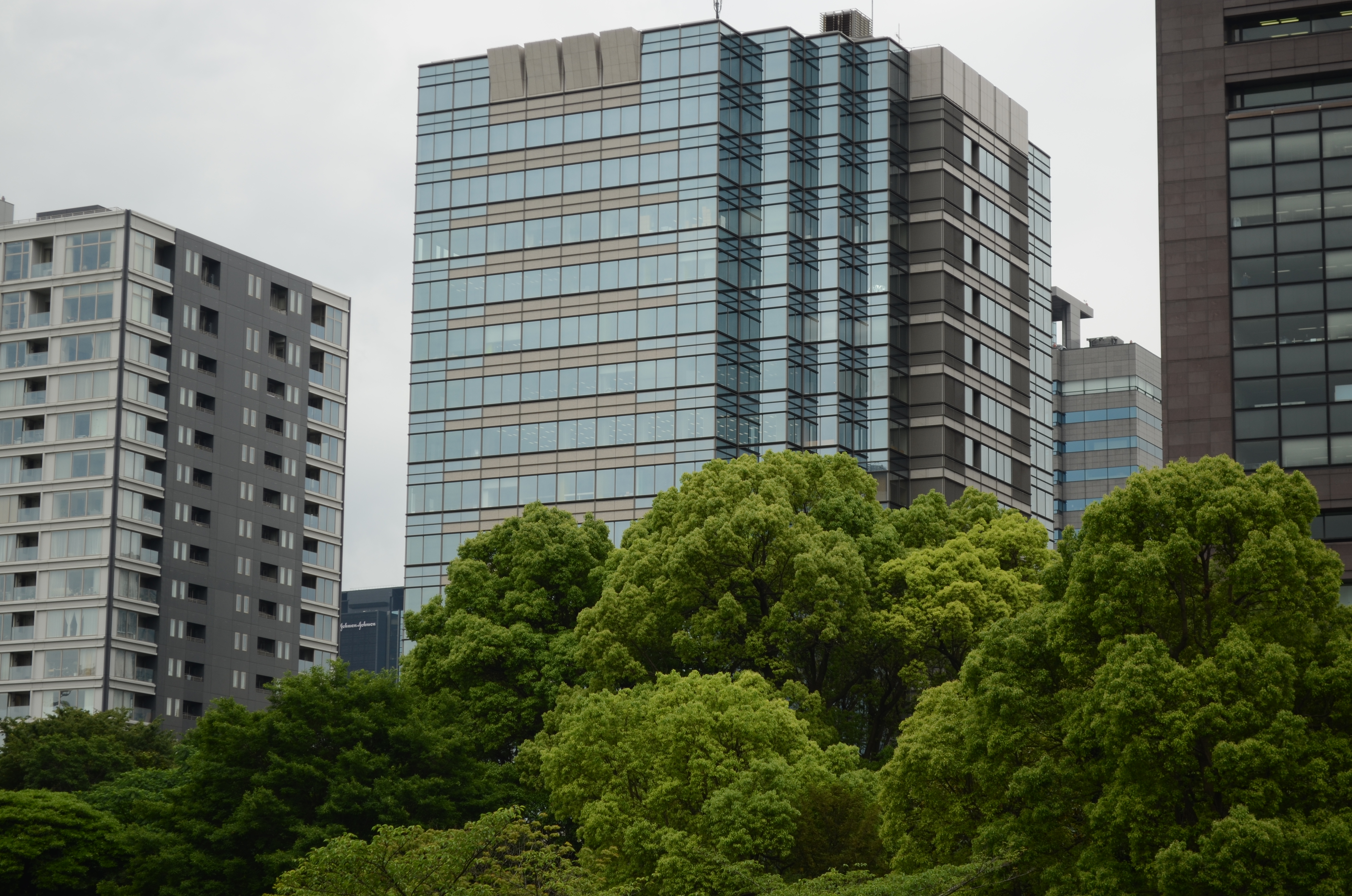 <b>【D5100】F5.6 / AF-S DX NIKKOR 18-55mm F3.5-5.6 G VR / 約6.4MB / 4,928×3,264 / 1/250秒 / 0.0EV / ISO100 / WB:オート / 55mm</b>