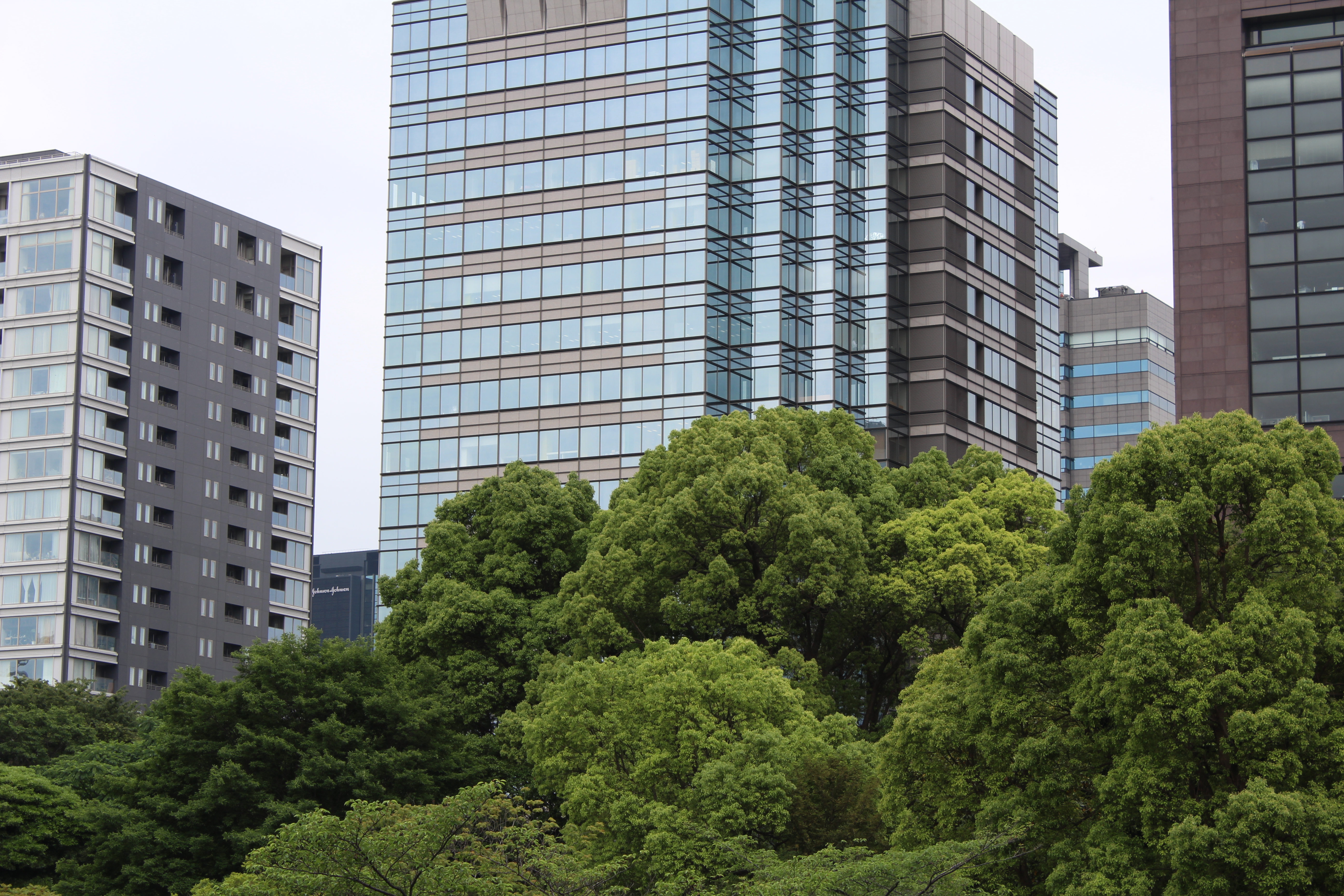 <b>【EOS Kiss X5】F8 / EF-S 18-55mm F3.5-5.6 IS II / 約7.8MB / 5,184×3,456 / 1/125秒 / 0.0EV / ISO100 / WB:オート / 55mm</b>