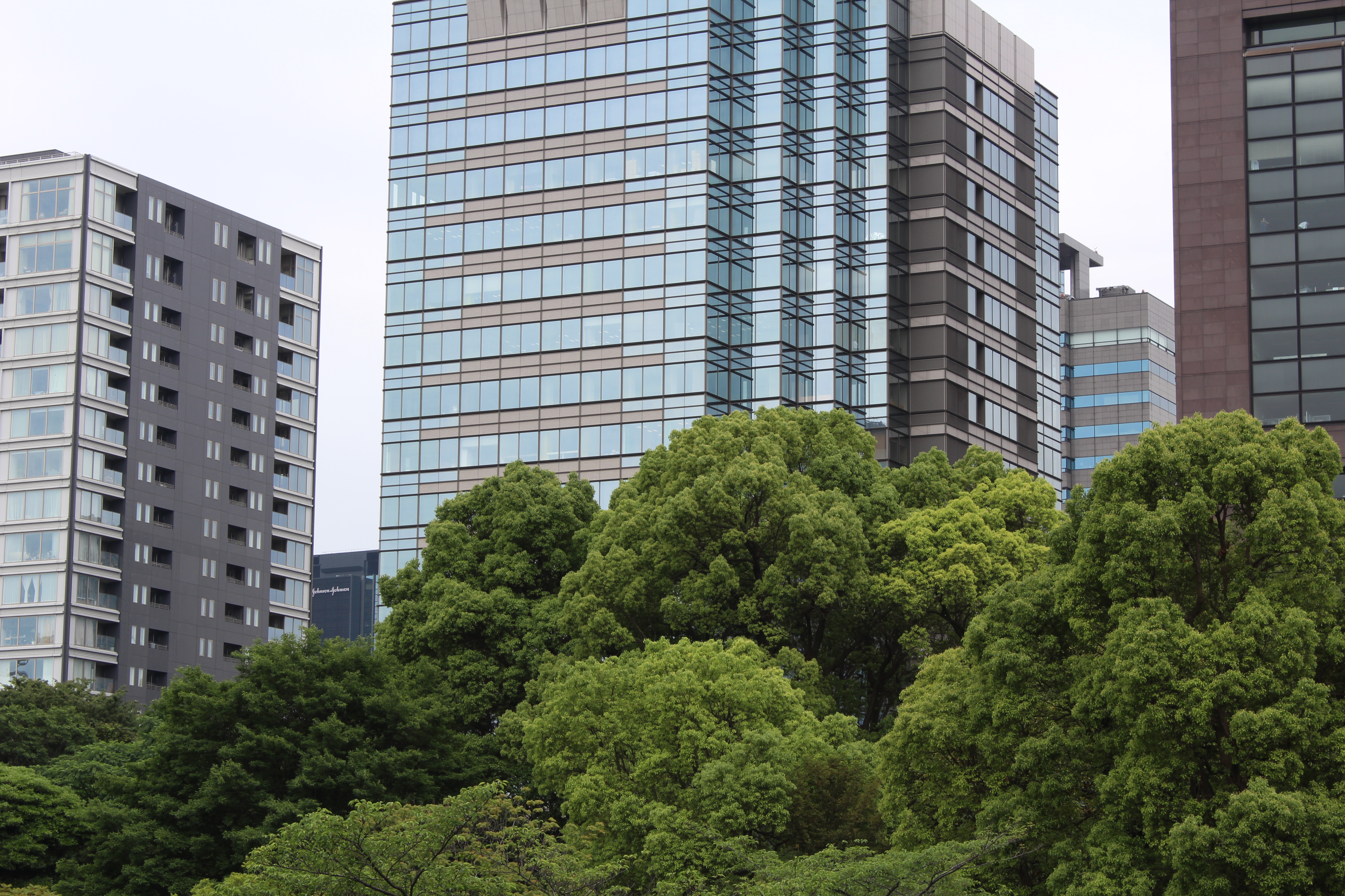 <b>【EOS Kiss X5】F11 / EF-S 18-55mm F3.5-5.6 IS II / 約7.8MB / 5,184×3,456 / 1/60秒 / 0.0EV / ISO100 / WB:オート / 55mm</b>