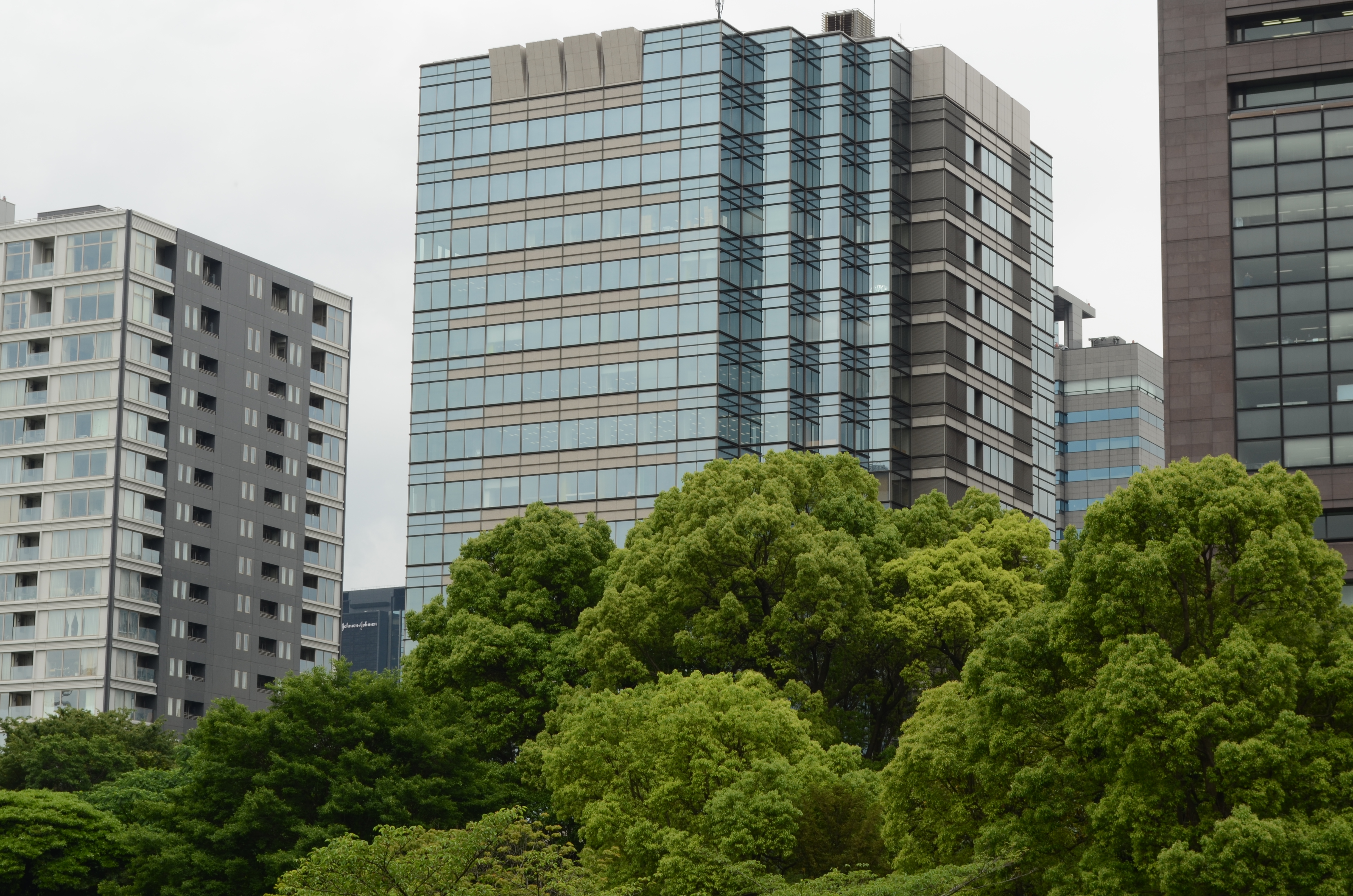 <b>【D5100】F11 / AF-S DX NIKKOR 18-55mm F3.5-5.6 G VR / 約6.5MB / 4,928×3,264 / 1/60秒 / 0.0EV / ISO100 / WB:オート / 55mm</b>