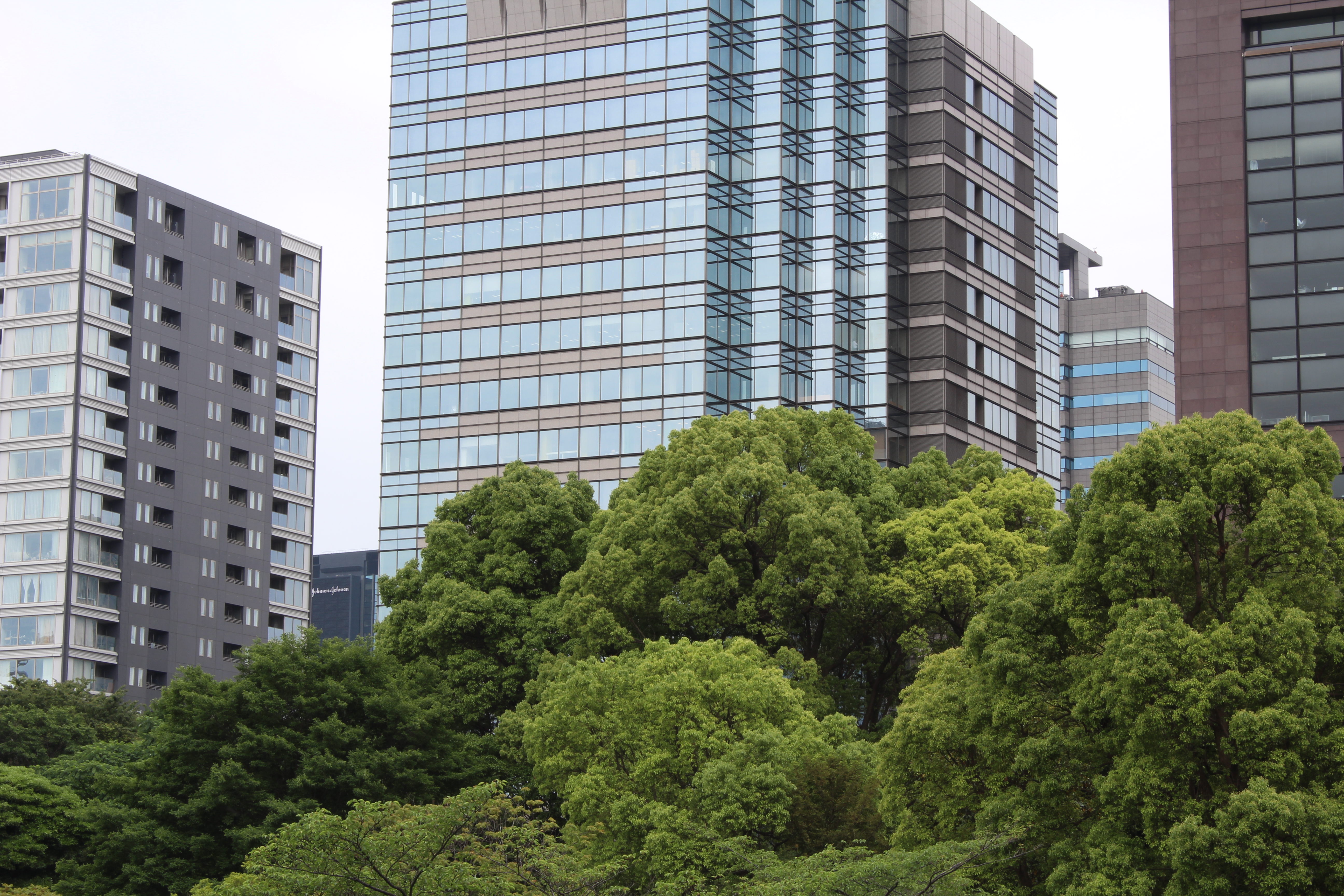 <b>【EOS Kiss X5】F16 / EF-S 18-55mm F3.5-5.6 IS II / 約7.6MB / 5,184×3,456 / 1/25秒 / 0.0EV / ISO100 / WB:オート / 55mm</b>