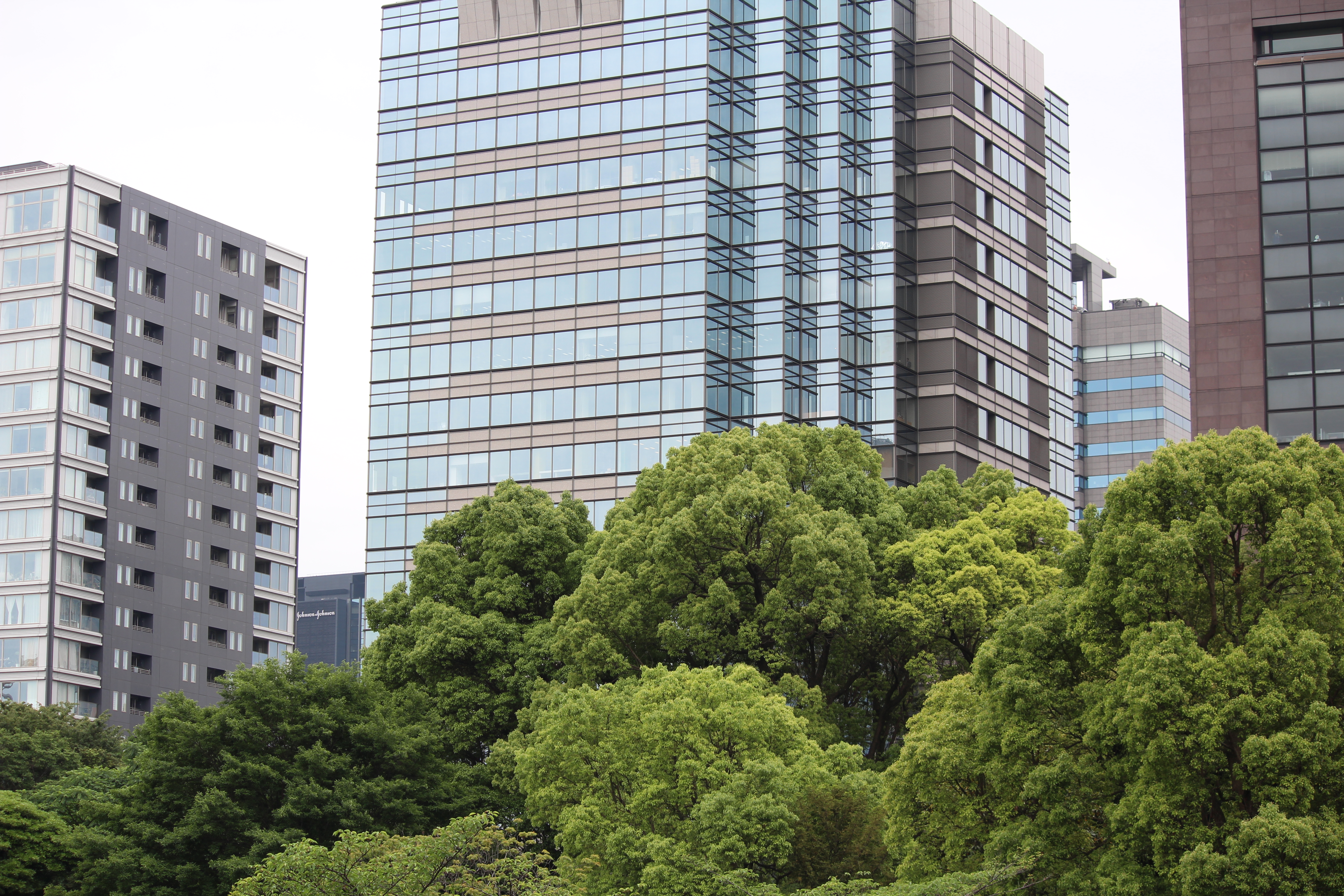 <b>【EOS Kiss X5】F5.6 / EF-S 55-250mm F4-5.6 IS / 約8.4MB / 5,184×3,456 / 1/160秒 / 0.0EV / ISO100 / WB:オート / 55mm</b>