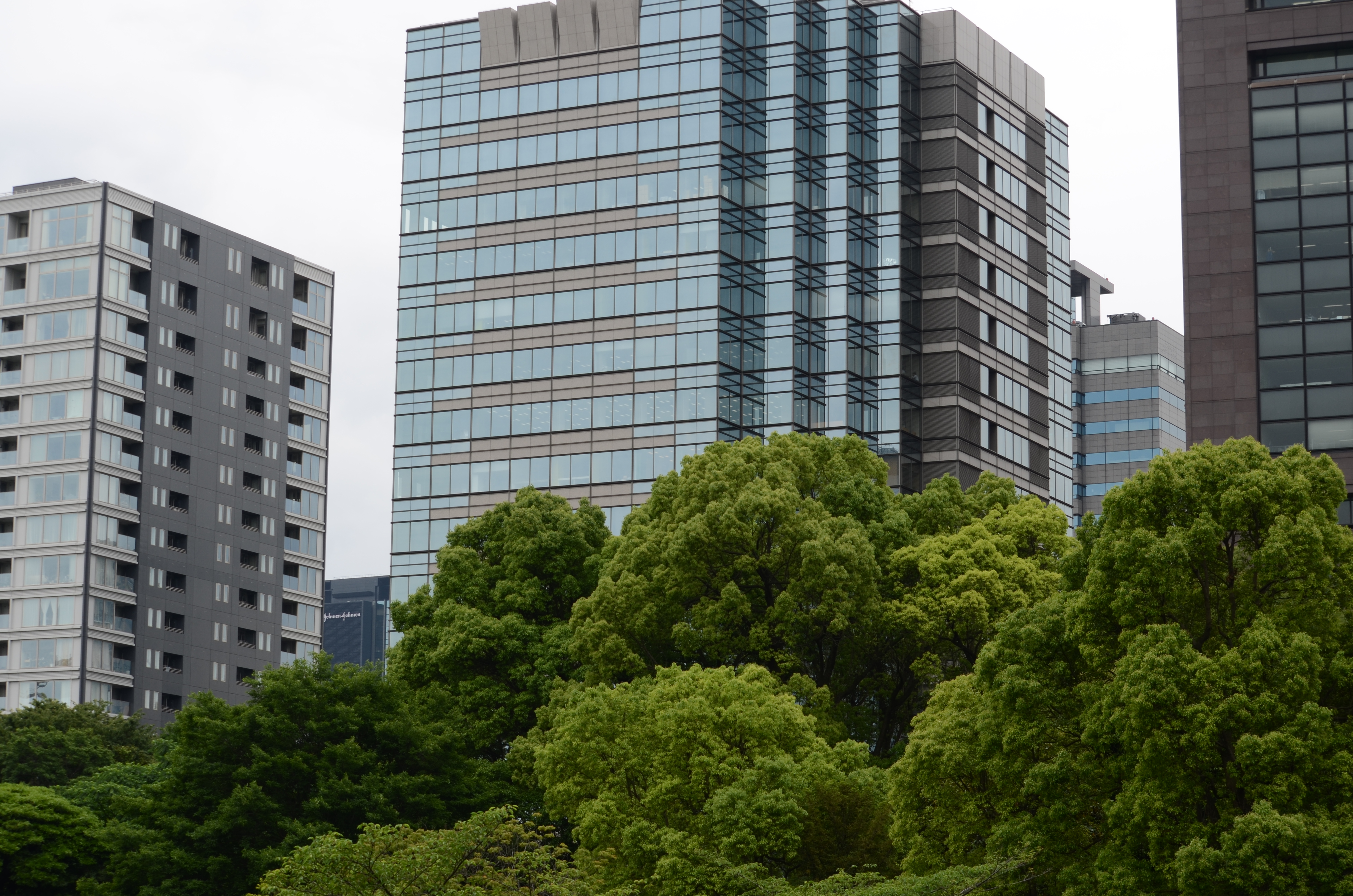 <b>【D5100】F8 / AF-S DX NIKKOR 55-300mm F4.5-5.6 G ED VR / 約6.6MB / 4,928×3,264 / 1/160秒 / 0.0EV / ISO100 / WB:オート / 55mm</b>