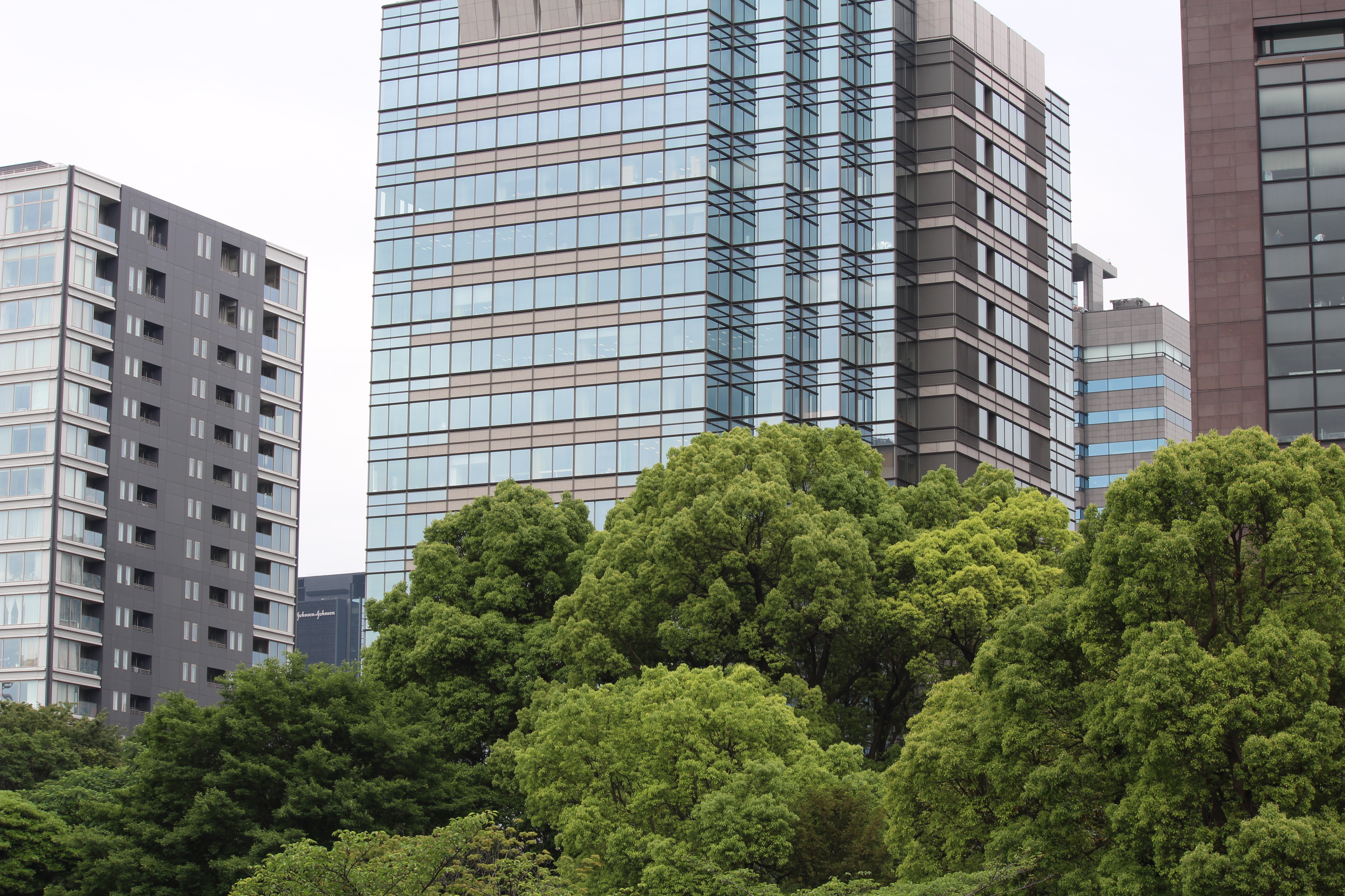 <b>【EOS Kiss X5】F11 / EF-S 55-250mm F4-5.6 IS / 約8.2MB / 5,184×3,456 / 1/50秒 / 0.0EV / ISO100 / WB:オート / 55mm</b>