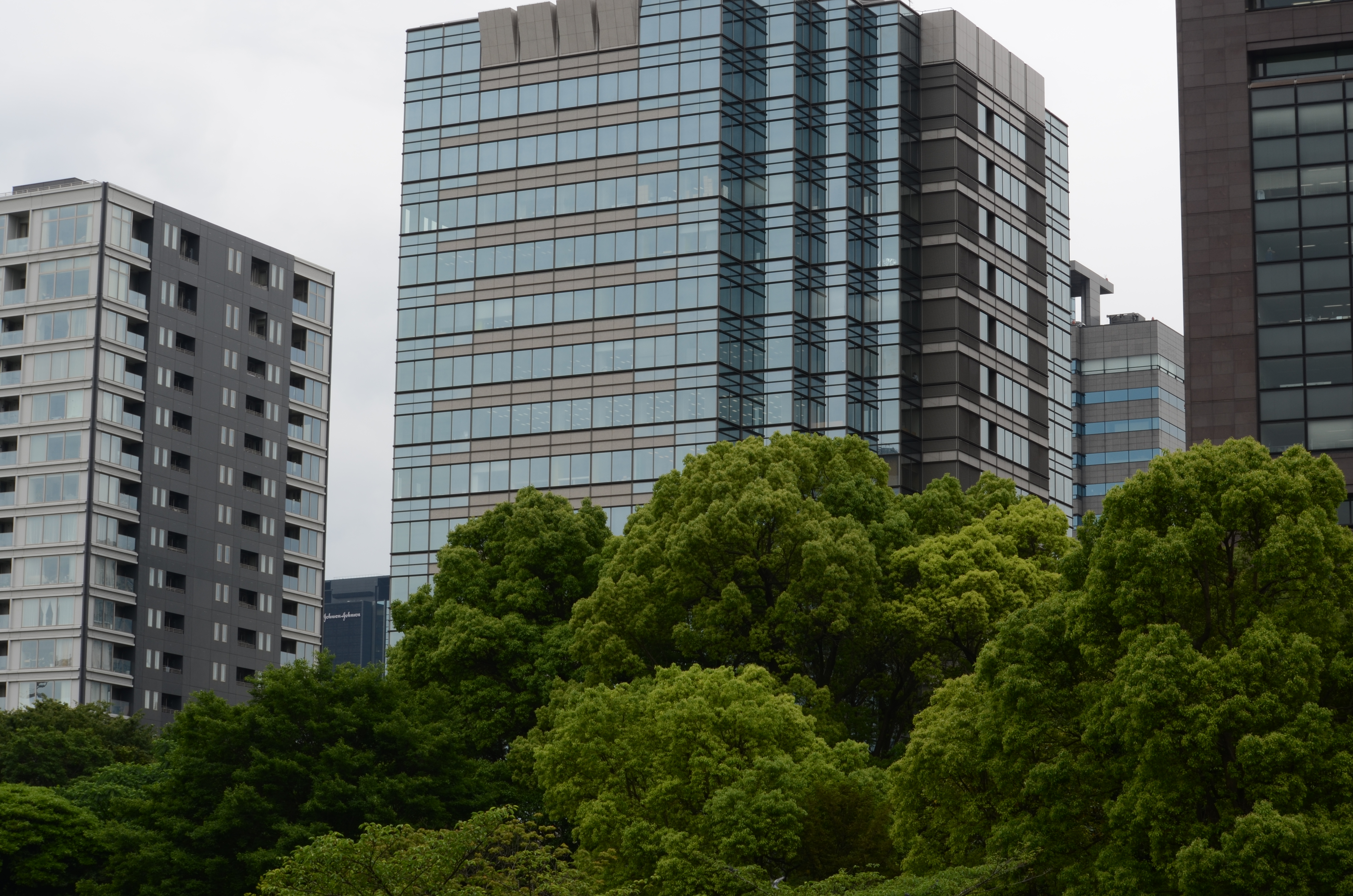 <b>【D5100】F11 / AF-S DX NIKKOR 55-300mm F4.5-5.6 G ED VR / 約6.3MB / 4,928×3,264 / 1/60秒 / 0.0EV / ISO100 / WB:オート / 55mm</b>