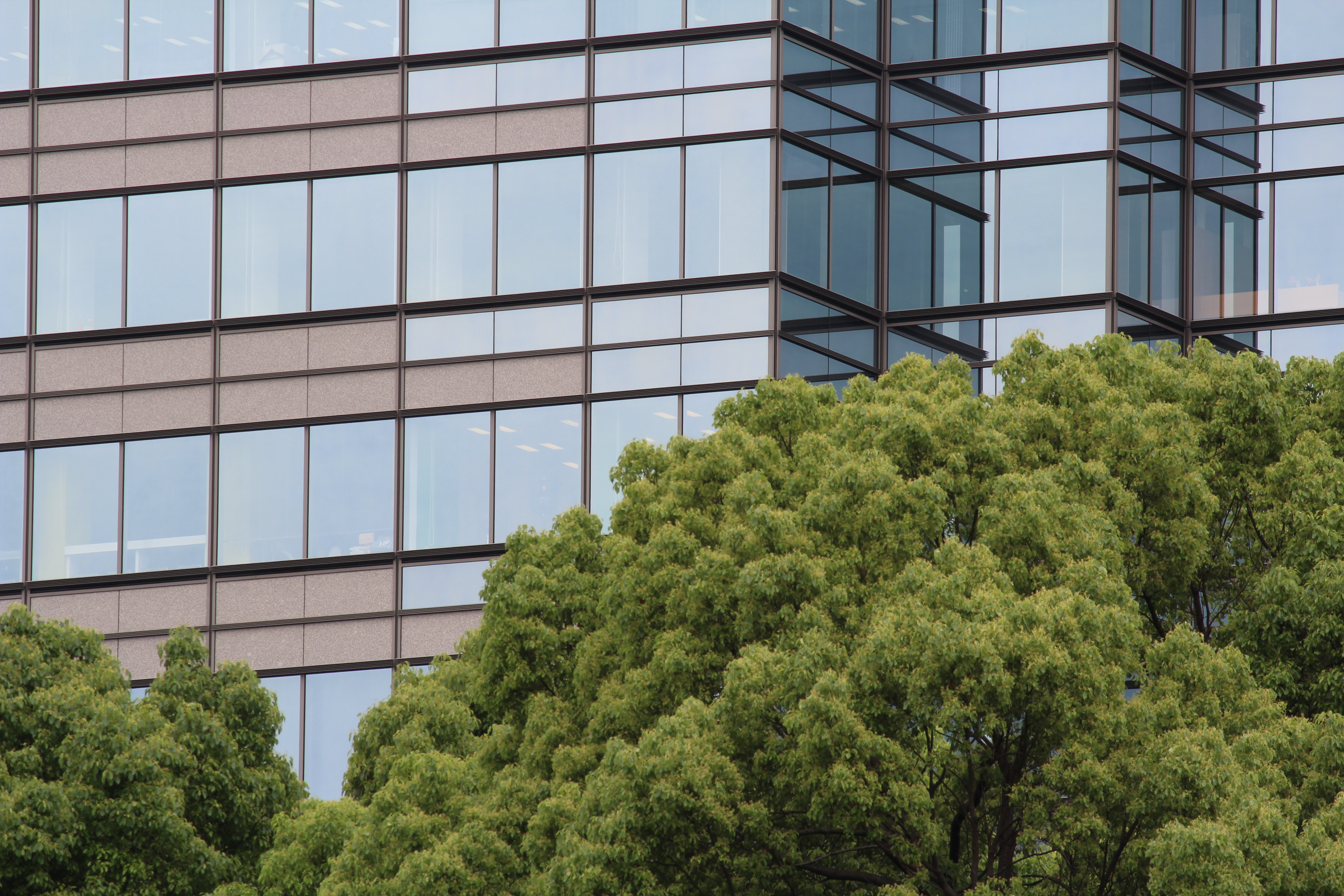 <b>【EOS Kiss X5】F11 / EF-S 55-250mm F4-5.6 IS / 約6.8MB / 5,184×3,456 / 1/60秒 / 0.0EV / ISO100 / WB:オート / 250mm</b>