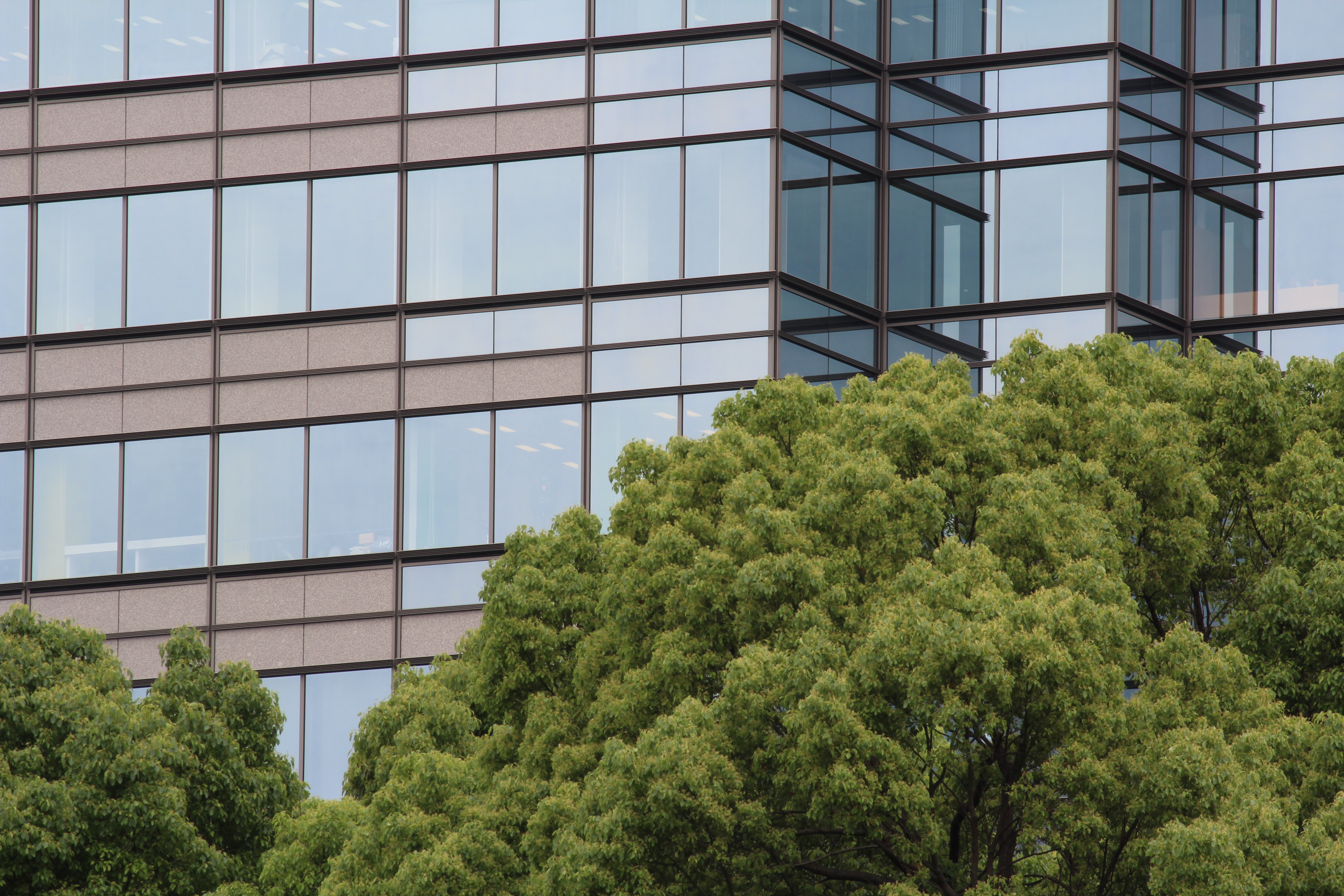 <b>【EOS Kiss X5】F16 / EF-S 55-250mm F4-5.6 IS / 約7.0MB / 5,184×3,456 / 1/30秒 / 0.0EV / ISO100 / WB:オート / 250mm</b>