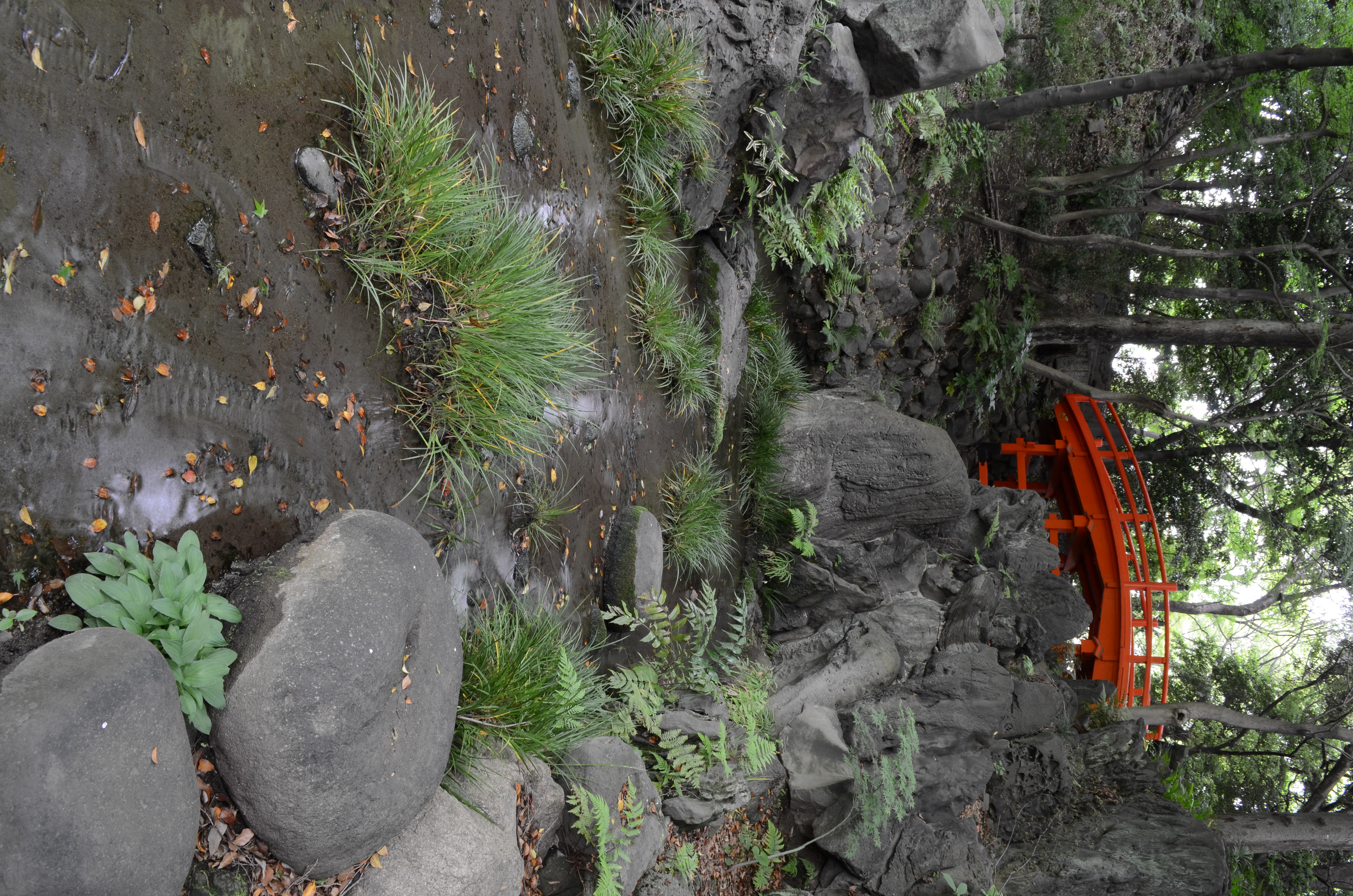 <b>【D5100】ISO200 / AF-S DX NIKKOR 18-55mm F3.5-5.6 G VR / 約8.5MB / 3,264×4,928 / 1.6秒 / F13 / 0.0EV / WB:オート / 18mm</b>