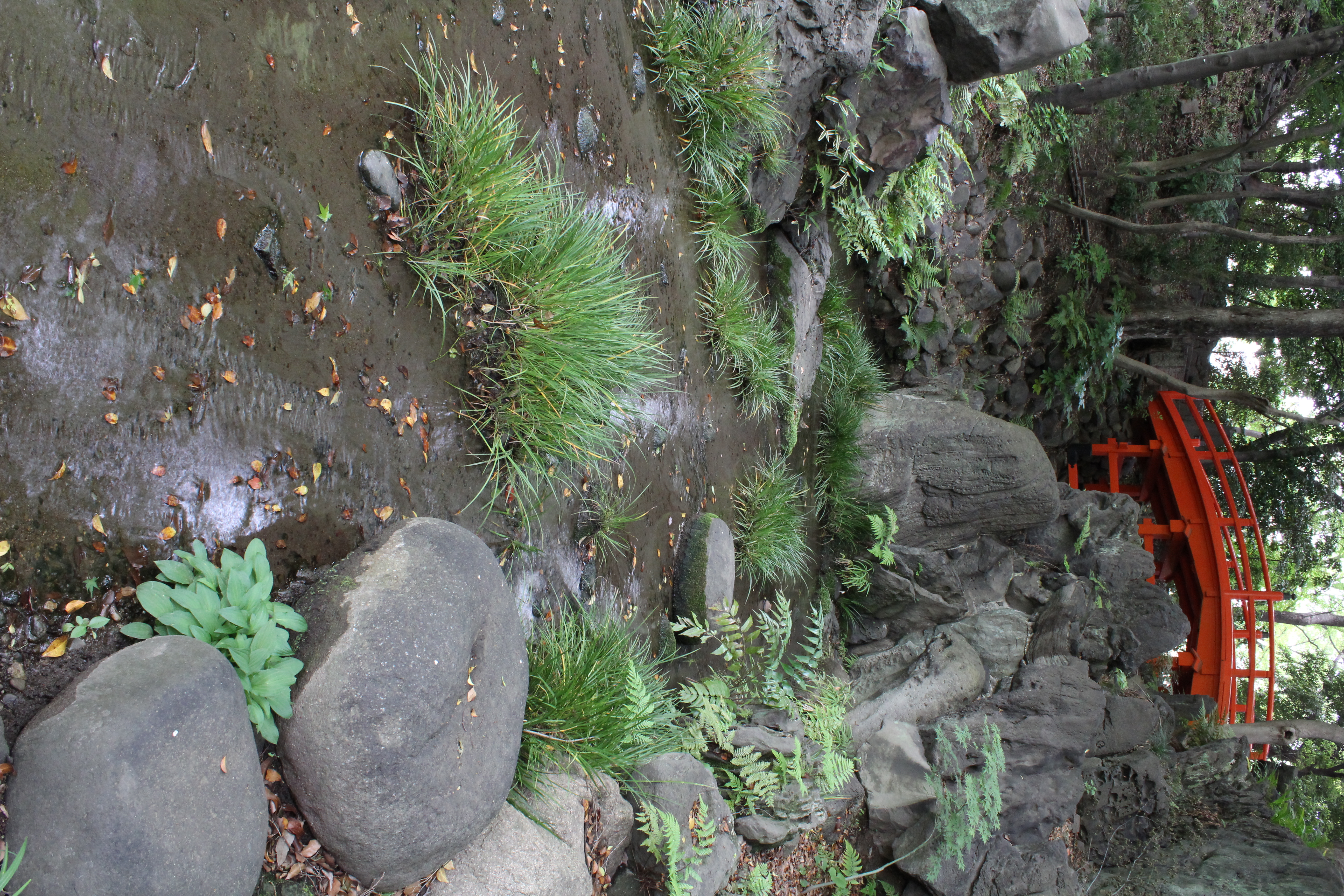 <b>【EOS Kiss X5】ISO1600 / EF-S 18-55mm F3.5-5.6 IS II / 約9.9MB / 3,456×5,184 / 1/5秒 / F13 / 0.0EV / WB:オート / 18mm</b>