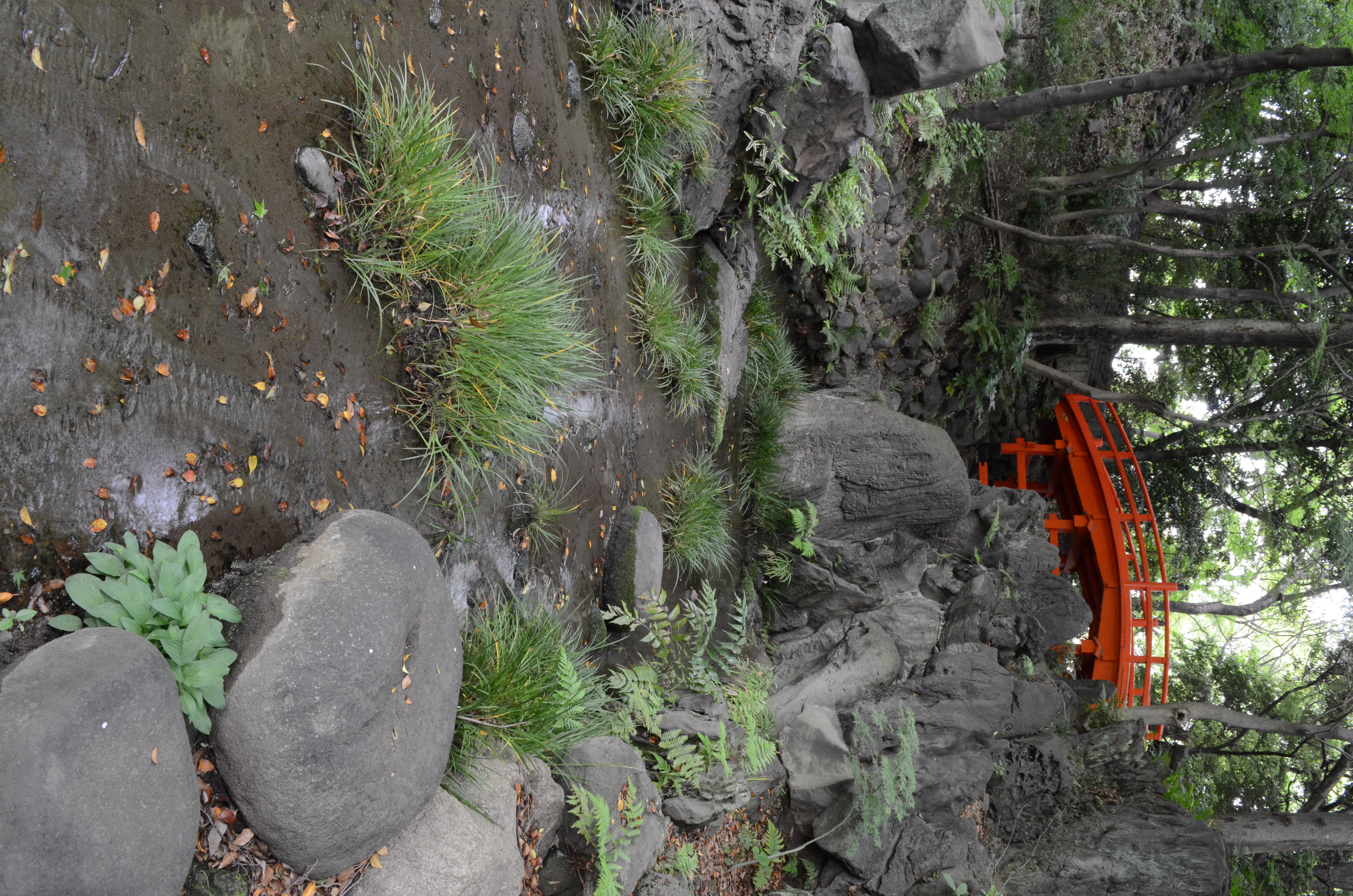 <b>【D5100】ISO1600 / AF-S DX NIKKOR 18-55mm F3.5-5.6 G VR / 約8.3MB / 3,264×4,928 / 1/5秒 / F13 / 0.0EV / WB:オート / 18mm</b>