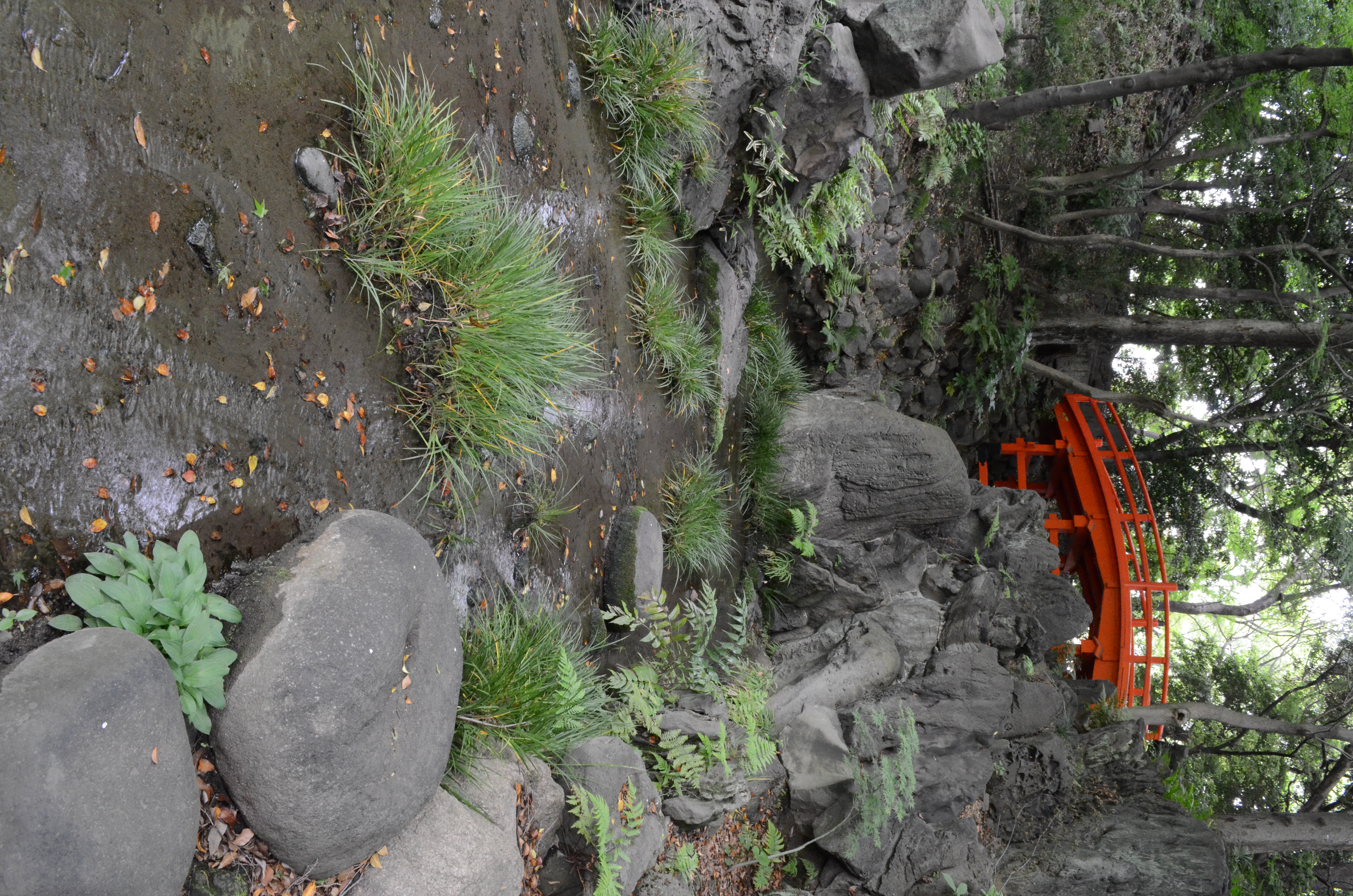 <b>【D5100】ISO3200 / AF-S DX NIKKOR 18-55mm F3.5-5.6 G VR / 約8.5MB / 3,264×4,928 / 1/10秒 / F13 / 0.0EV / WB:オート / 18mm</b>