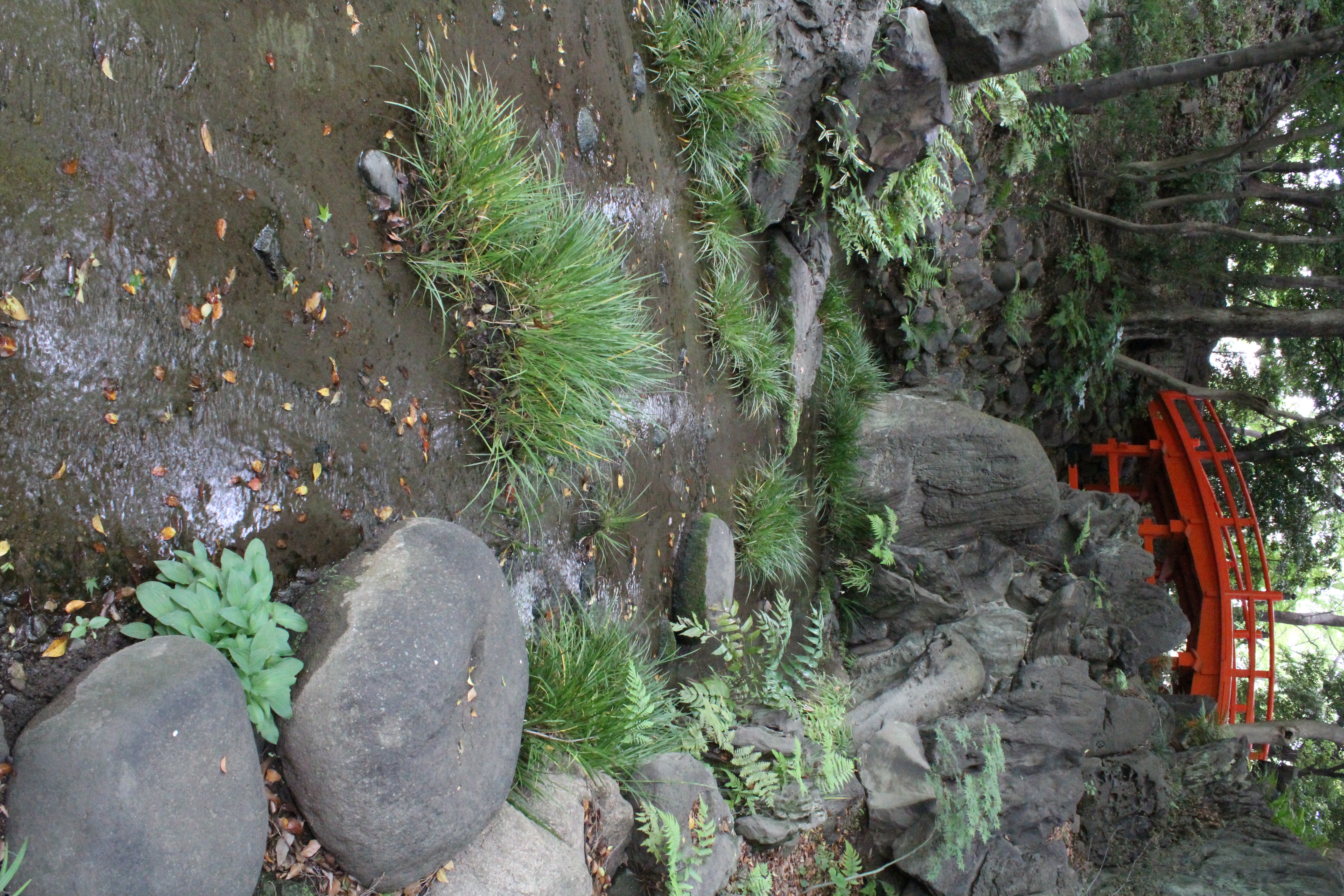 <b>【EOS Kiss X5】ISO6400 / EF-S 18-55mm F3.5-5.6 IS II / 約9.5MB / 3,456×5,184 / 1/20秒 / F13 / 0.0EV / WB:オート / 18mm</b>