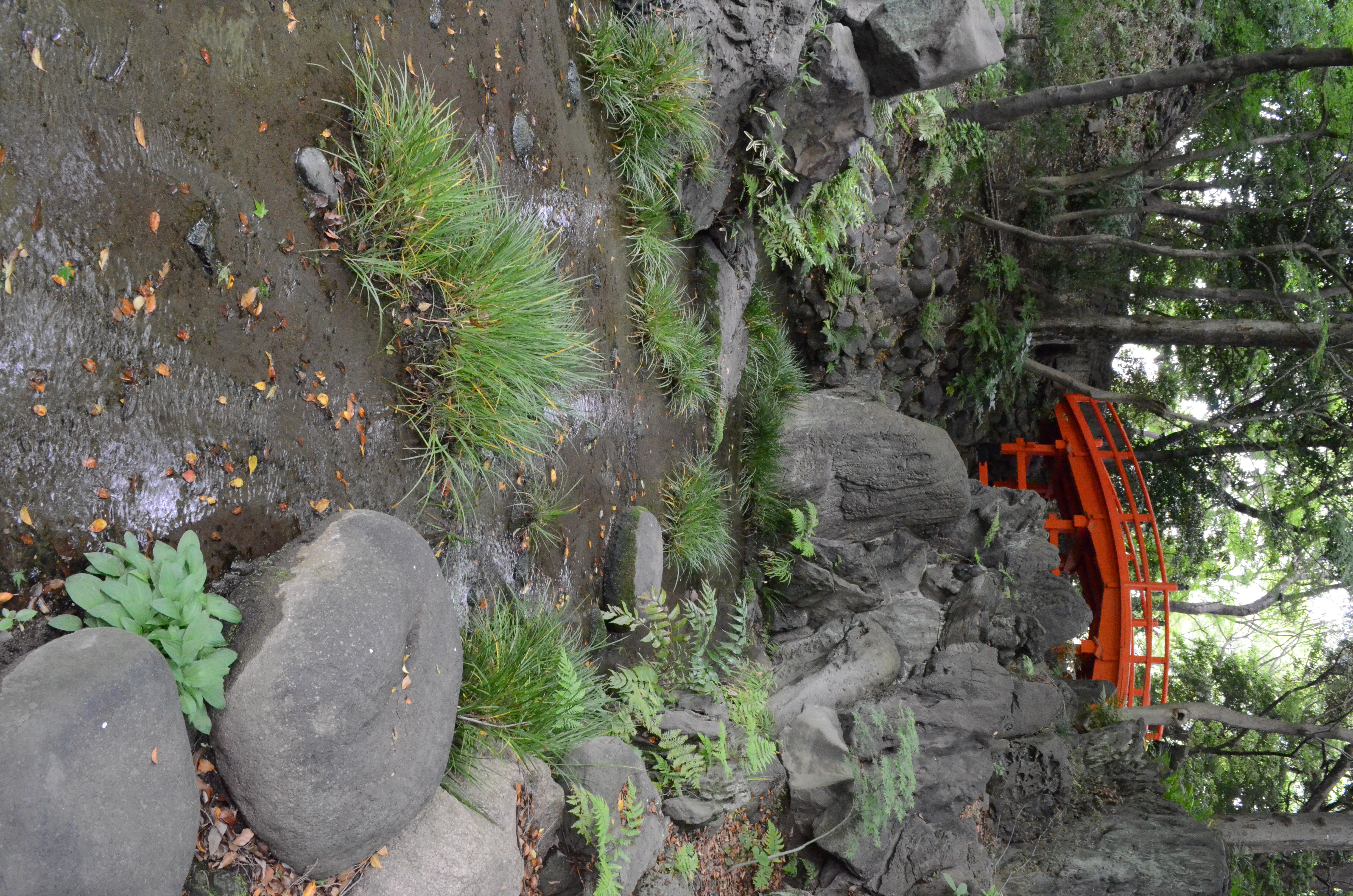 <b>【D5100】ISO6400 / AF-S DX NIKKOR 18-55mm F3.5-5.6 G VR / 約8.5MB / 3,264×4,928 / 1/20秒 / F13 / 0.0EV / ISO6400 / WB:オート / 18mm</b>