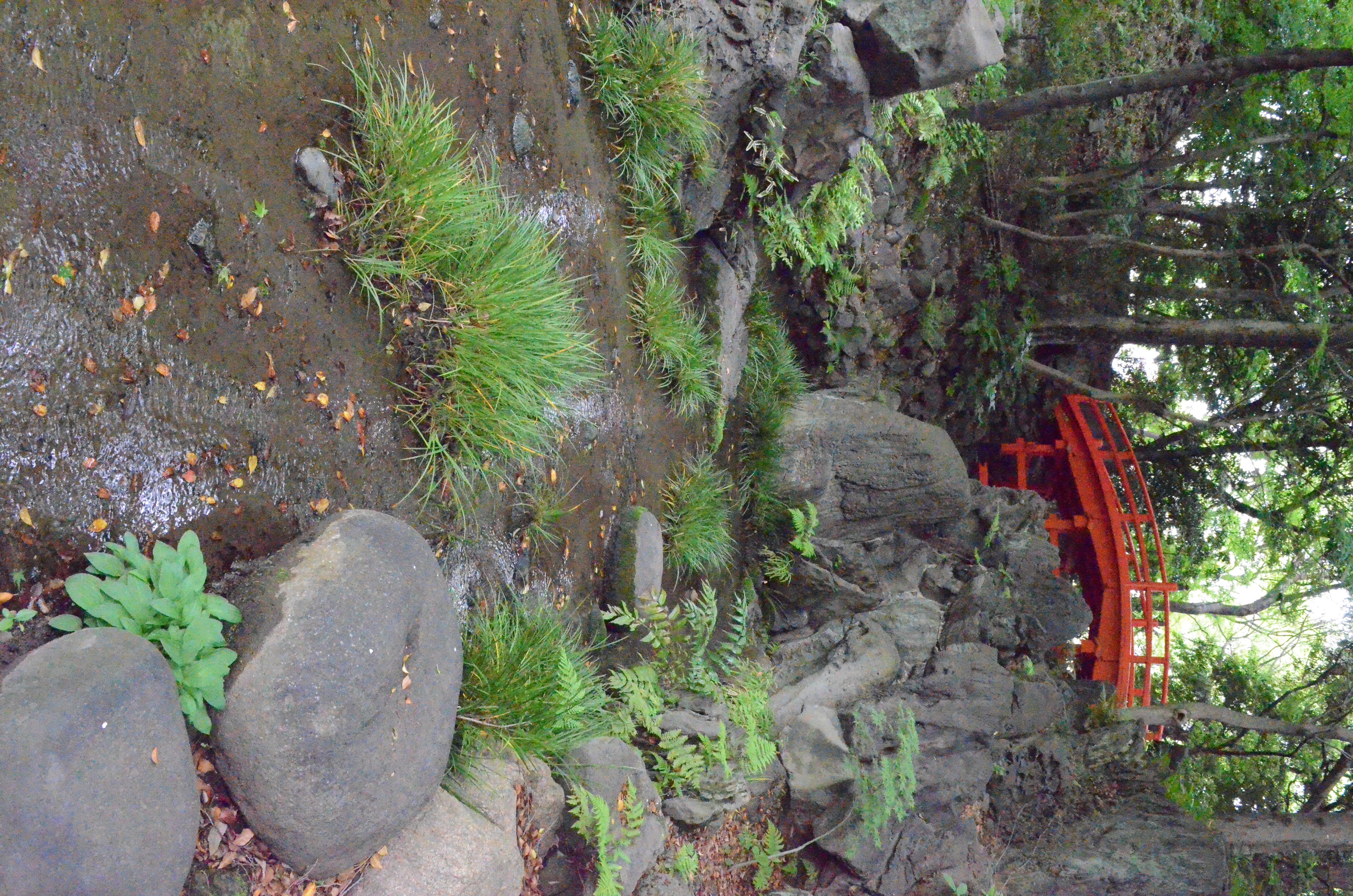 <b>【D5100】ISO25600 / AF-S DX NIKKOR 18-55mm F3.5-5.6 G VR / 約7.7MB / 3,264×4,928 / 1/80秒 / F13 / 0.0EV / WB:オート / 18mm</b>