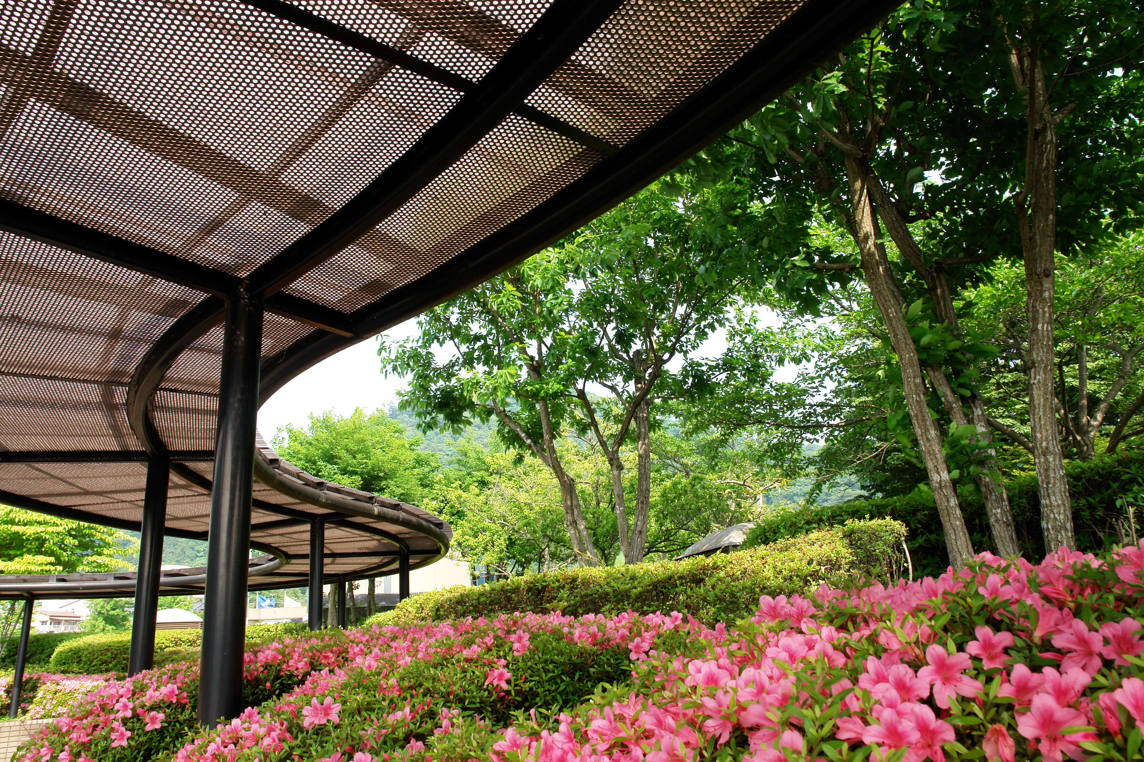 <b>ビビッド / DSC-R1 / 約4.4MB / 3,888×2,592 / 1/30秒 / F11 / +0.3EV / ISO160 / WB:太陽光 / 14.3mm</b>