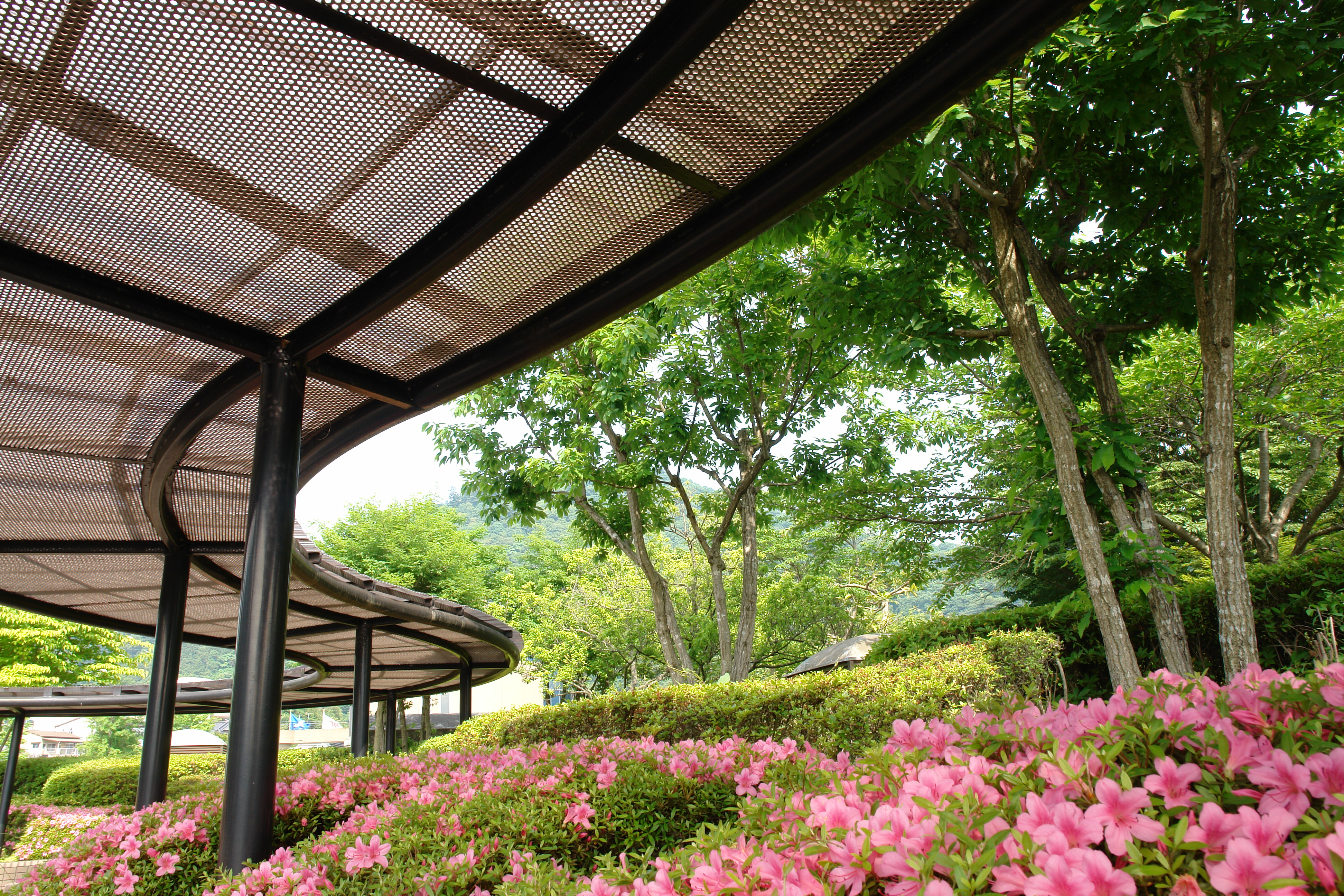 <b>スタンダード / DSC-R1 / 約4.5MB / 3,888×2,592 / 1/30秒 / F11 / +0.3EV / ISO160 / WB:太陽光 / 14.3mm</b>