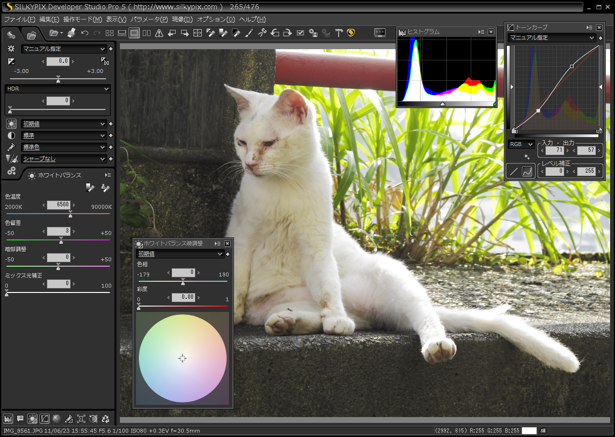 <b>SILKYPIX Developer Studio Pro5 RC版</b>