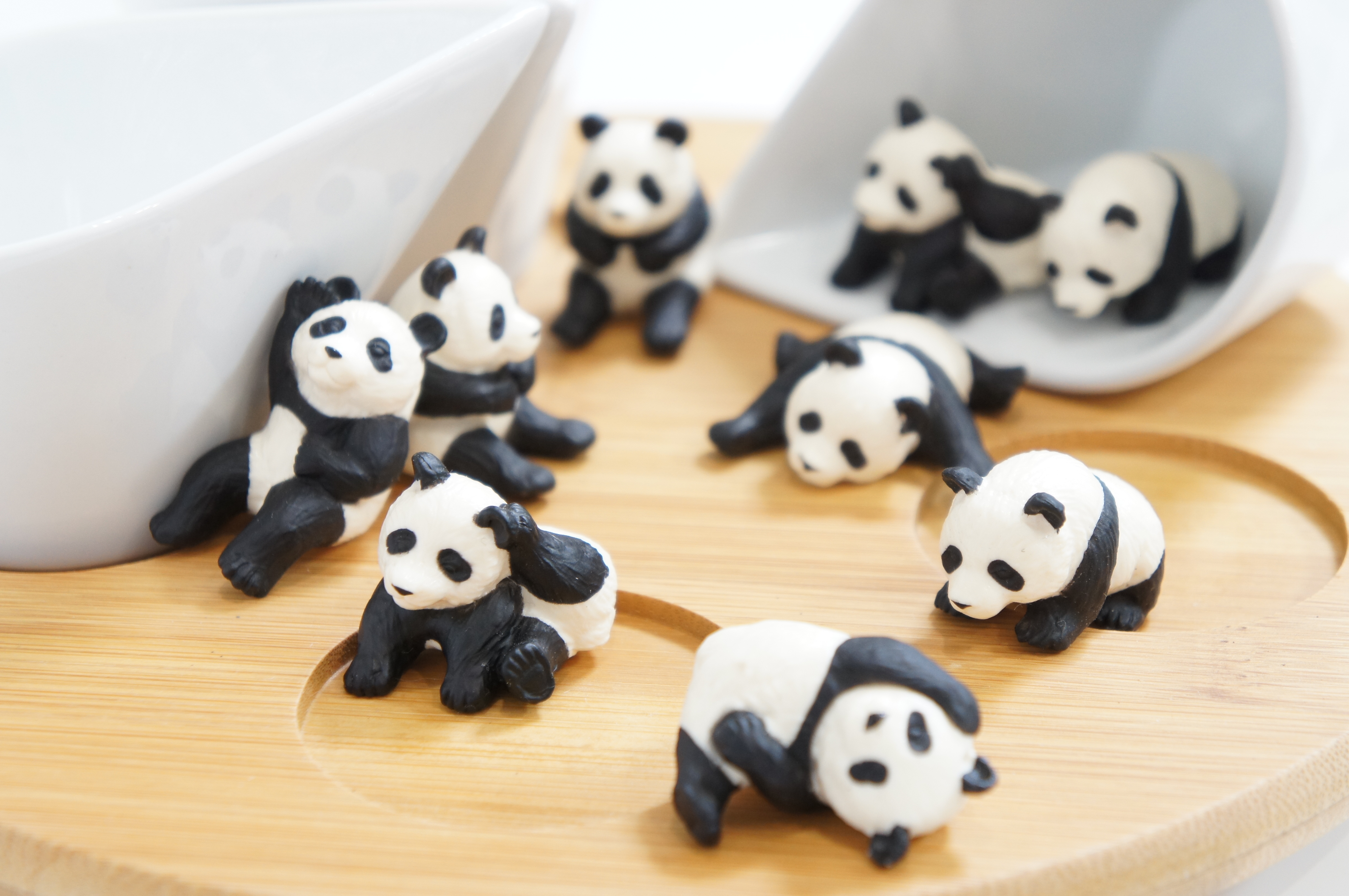 <b>ISO800 / NEX-C3 / E 18-55mm F3.5-5.6 OSS / 約3.2MB / 4,912×3,264 / 1/10秒 / F5.6 / +1.7EV / WB:オート / 55mm</b>