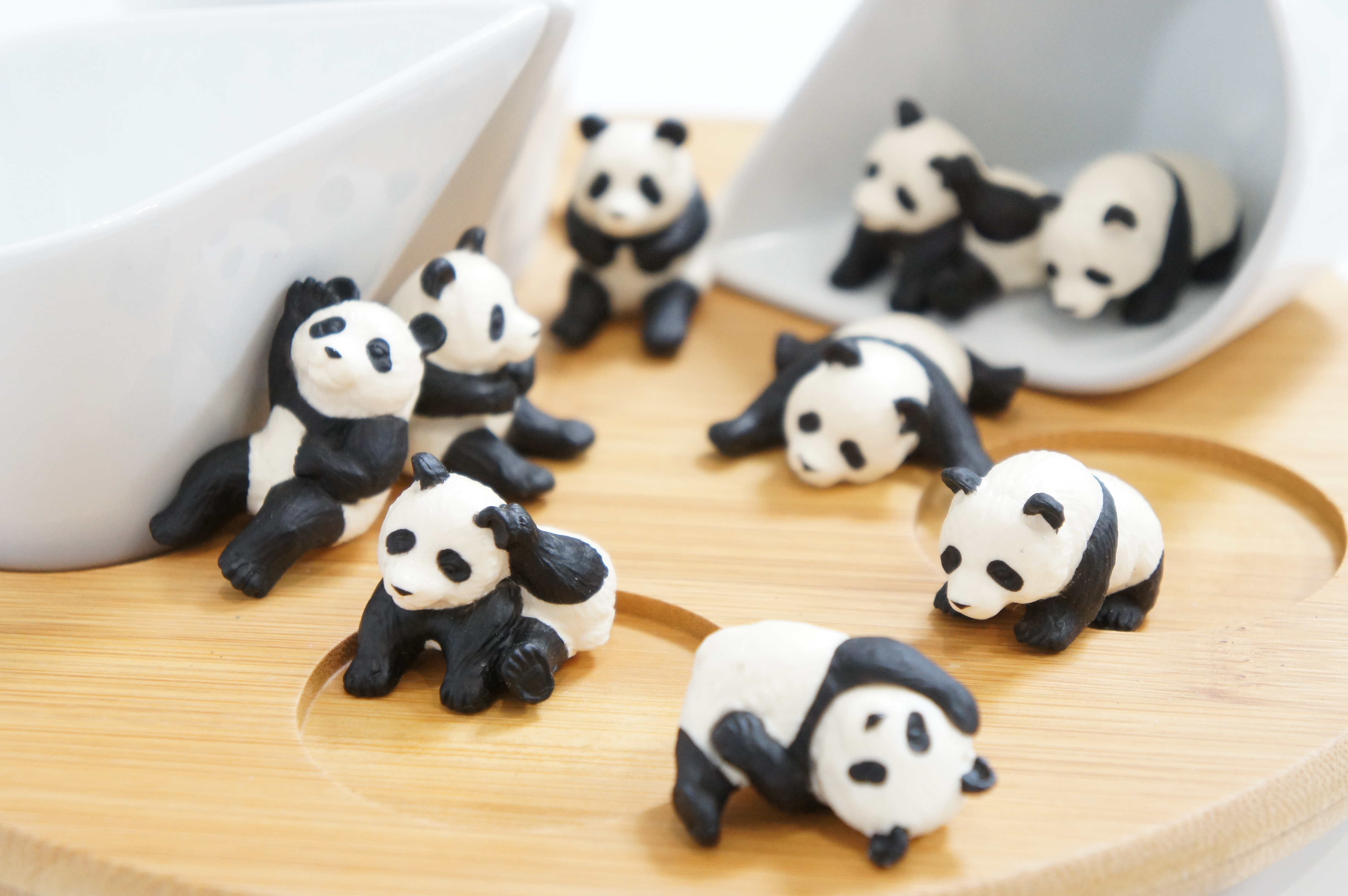 <b>ISO1600 / NEX-C3 / E 18-55mm F3.5-5.6 OSS / 約3.4MB / 4,912×3,264 / 1/20秒 / F5.6 / +1.7EV / WB:オート / 55mm</b>