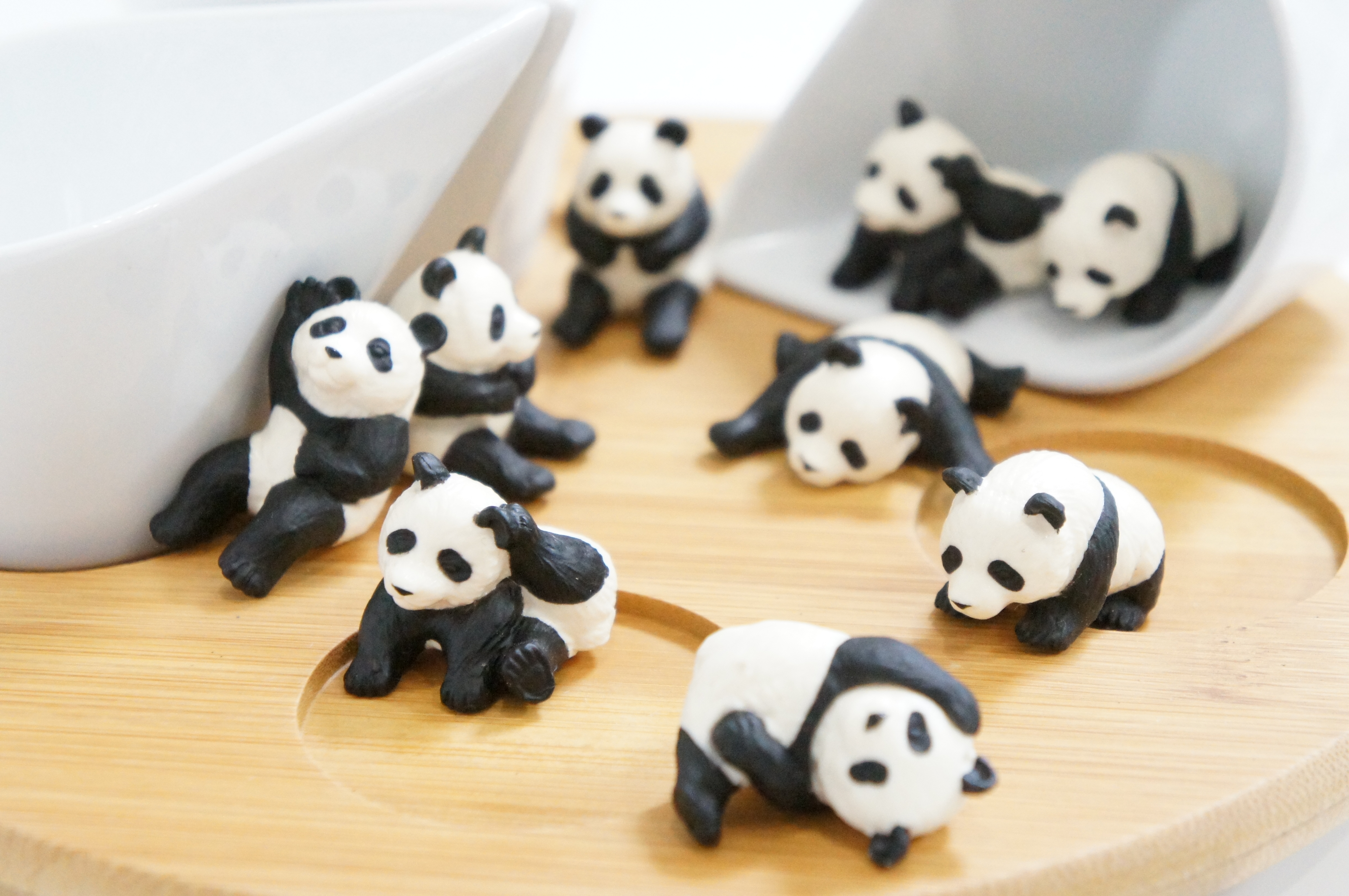 <b>ISO6400 / NEX-C3 / E 18-55mm F3.5-5.6 OSS / 約3.7MB / 4,912×3,264 / 1/80秒 / F5.6 / +1.7EV / WB:オート / 55mm</b>