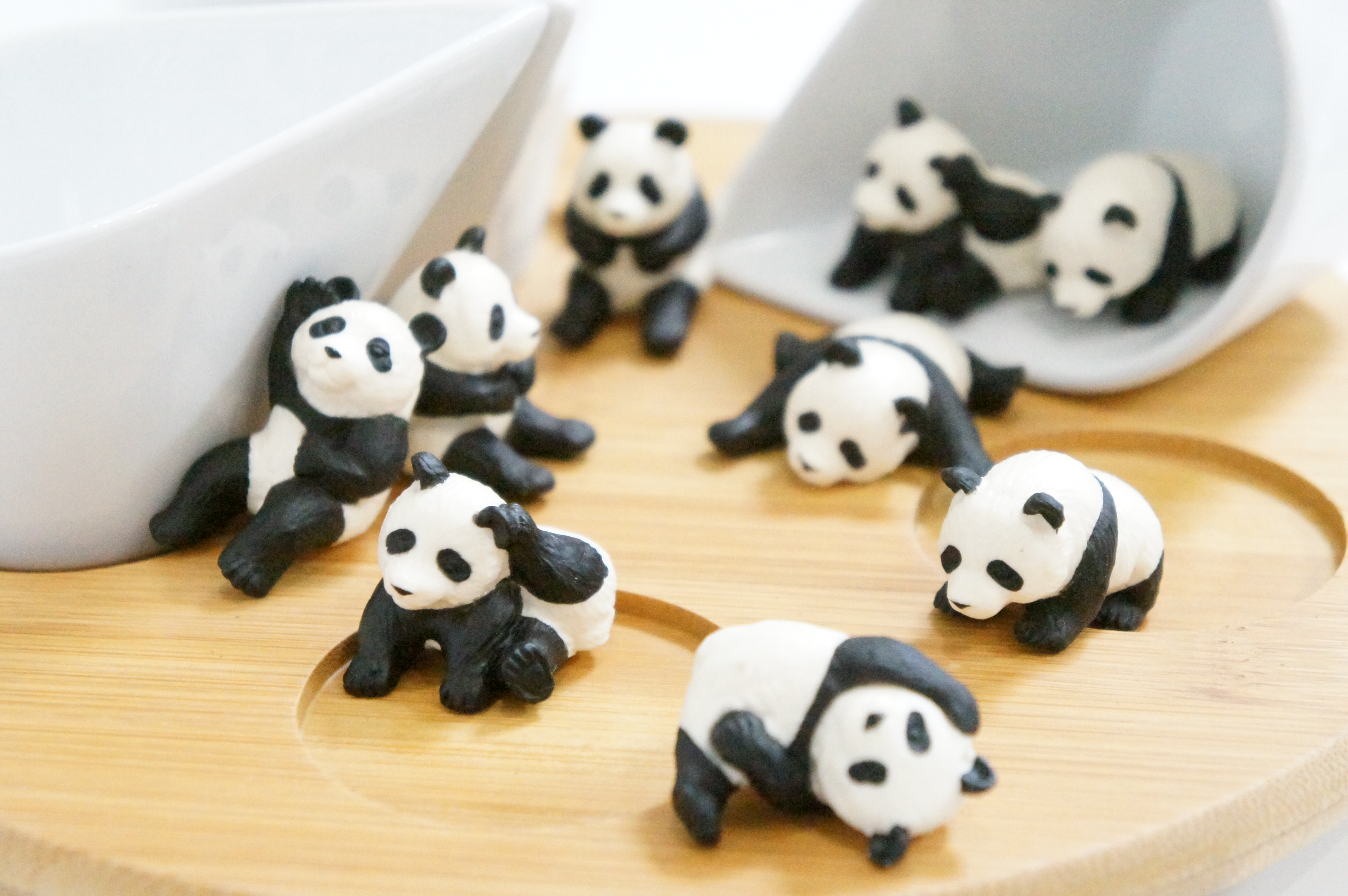 <b>ISO12800 / NEX-C3 / E 18-55mm F3.5-5.6 OSS / 約4.0MB / 4,912×3,264 / 1/160秒 / F5.6 / +1.7EV / WB:オート / 55mm</b>