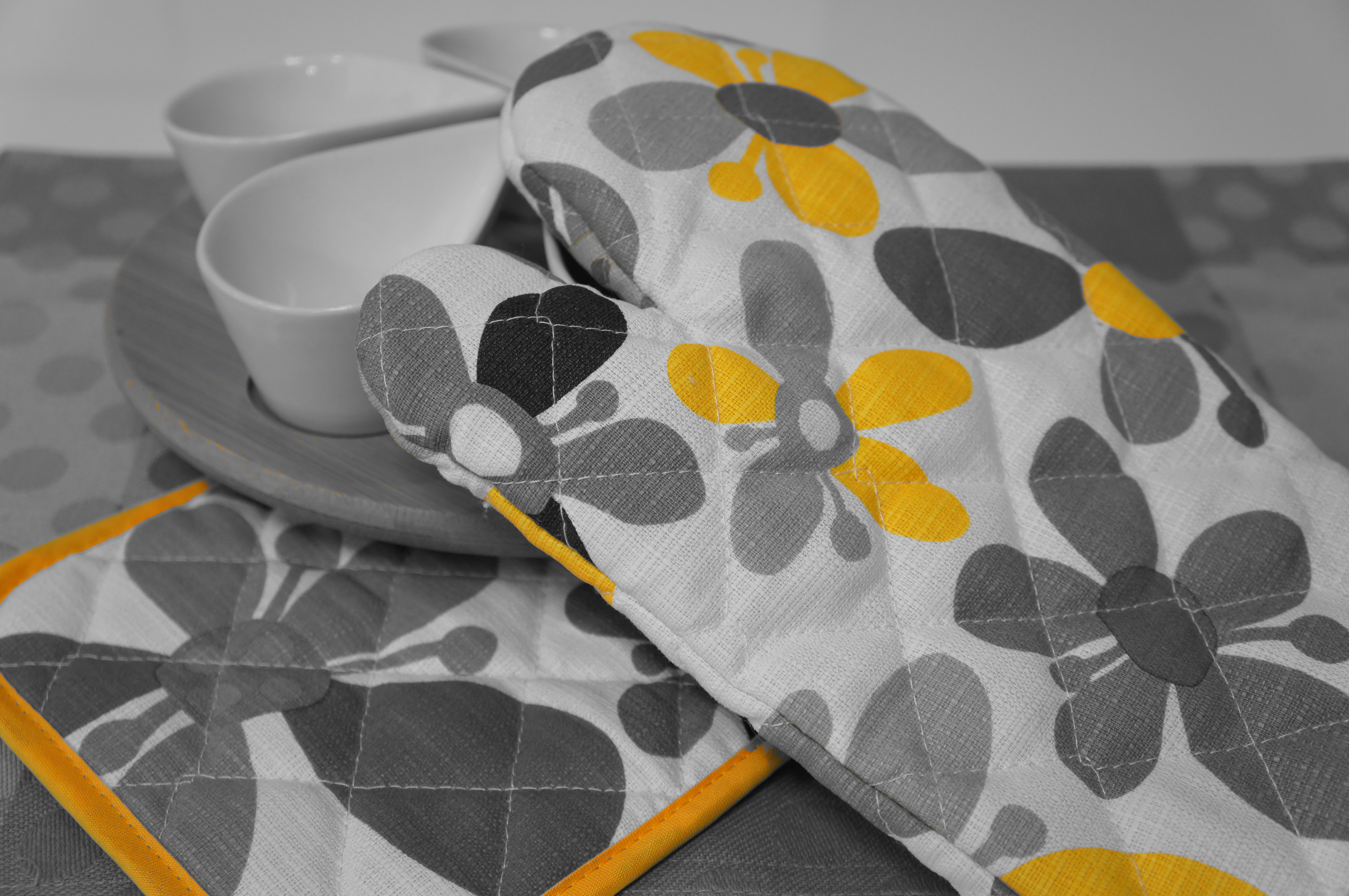 <b>ピクチャーエフェクト:パートカラー（イエロー） / NEX-C3 / E 18-55mm F3.5-5.6 OSS / 約4.3MB / 4,912×3,264 / 1/60秒 / F4 / 0.0EV / ISO400 / WB:オート / 30mm</b>