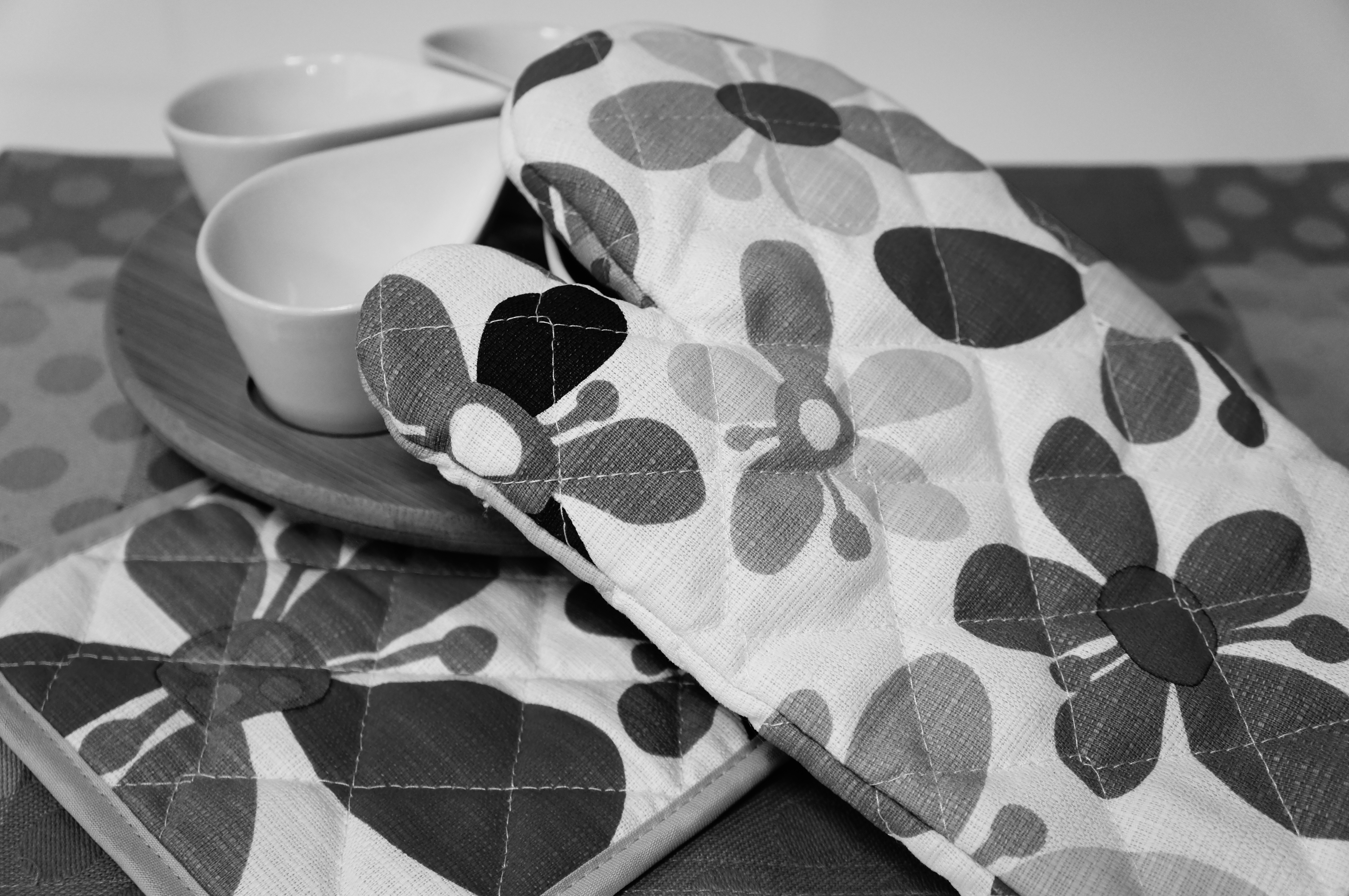 <b>ピクチャーエフェクト:ハイコントラストモノクロ / NEX-C3 / E 18-55mm F3.5-5.6 OSS / 約4.8MB / 4,912×3,264 / 1/60秒 / F4 / 0.0EV / ISO400 / WB:オート / 30mm</b>