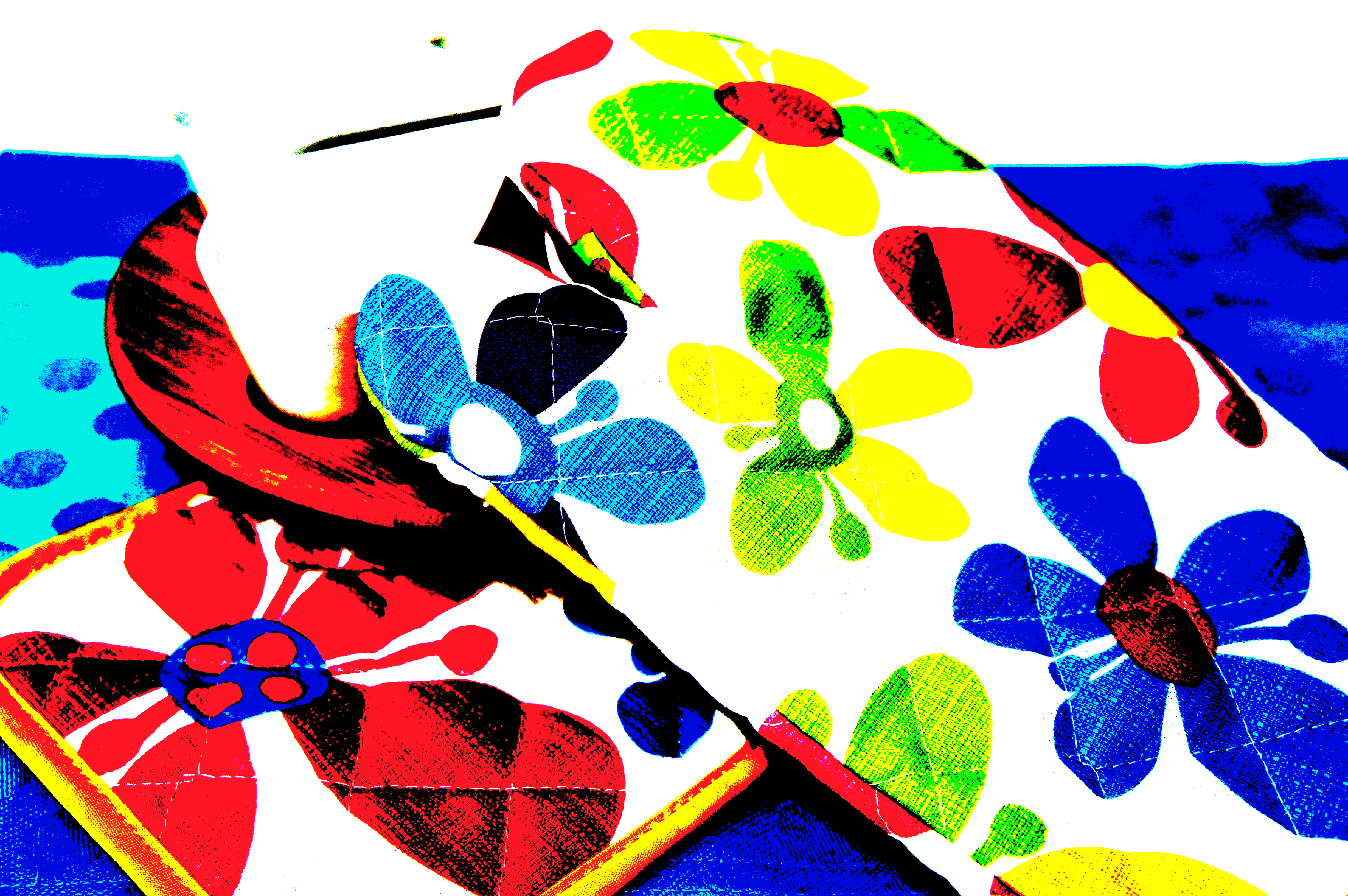 <b>ピクチャーエフェクト:ポスタリゼーション（カラー） / NEX-C3 / E 18-55mm F3.5-5.6 OSS / 約6.5MB / 4,912×3,264 / 1/60秒 / F4 / 0.0EV / ISO400 / WB:オート / 30mm</b>