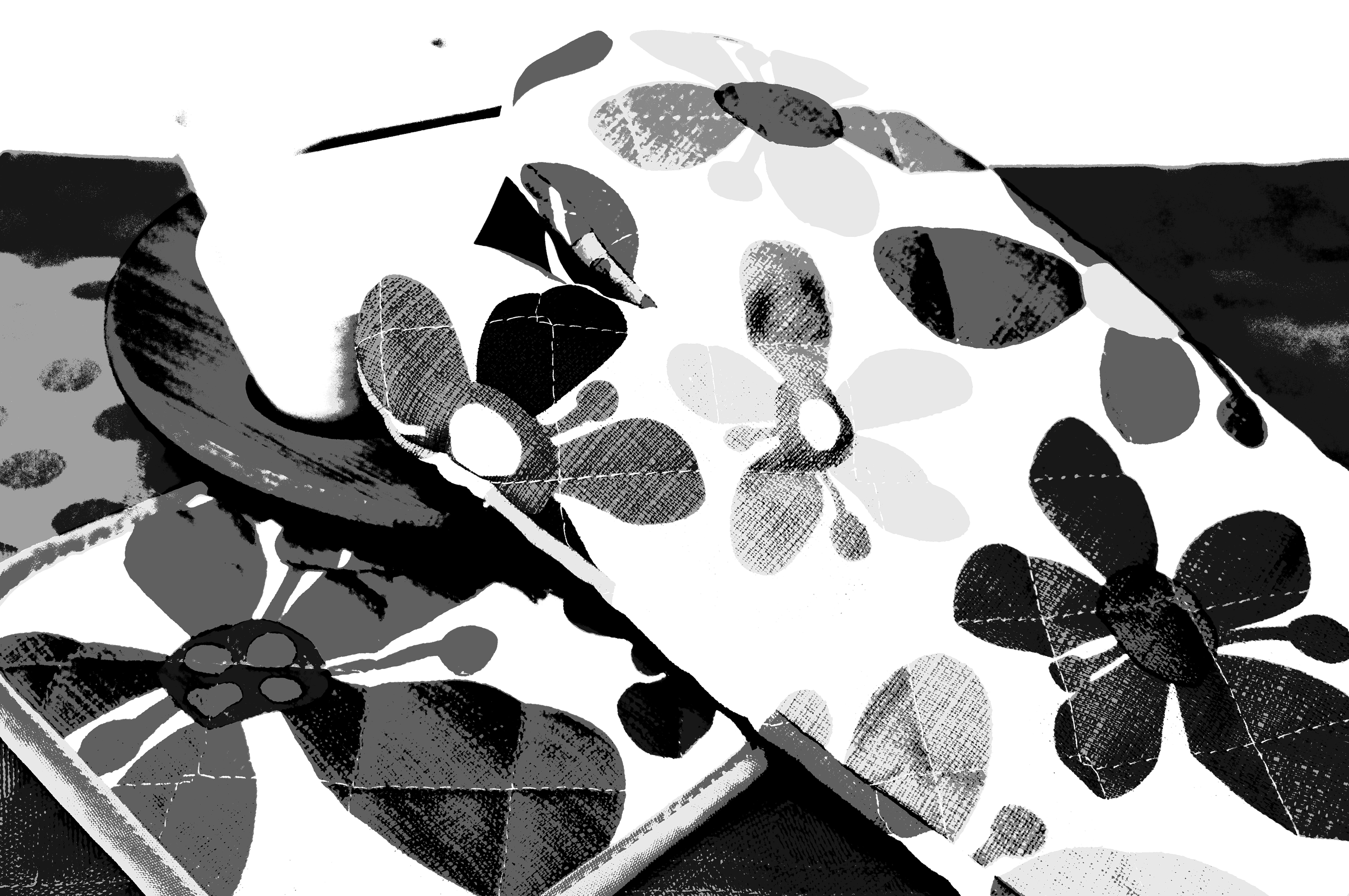 <b>ピクチャーエフェクト:ポスタリゼーション（モノクロ） / NEX-C3 / E 18-55mm F3.5-5.6 OSS / 約4.2MB / 4,912×3,264 / 1/60秒 / F4 / 0.0EV / ISO400 / WB:オート / 30mm</b>