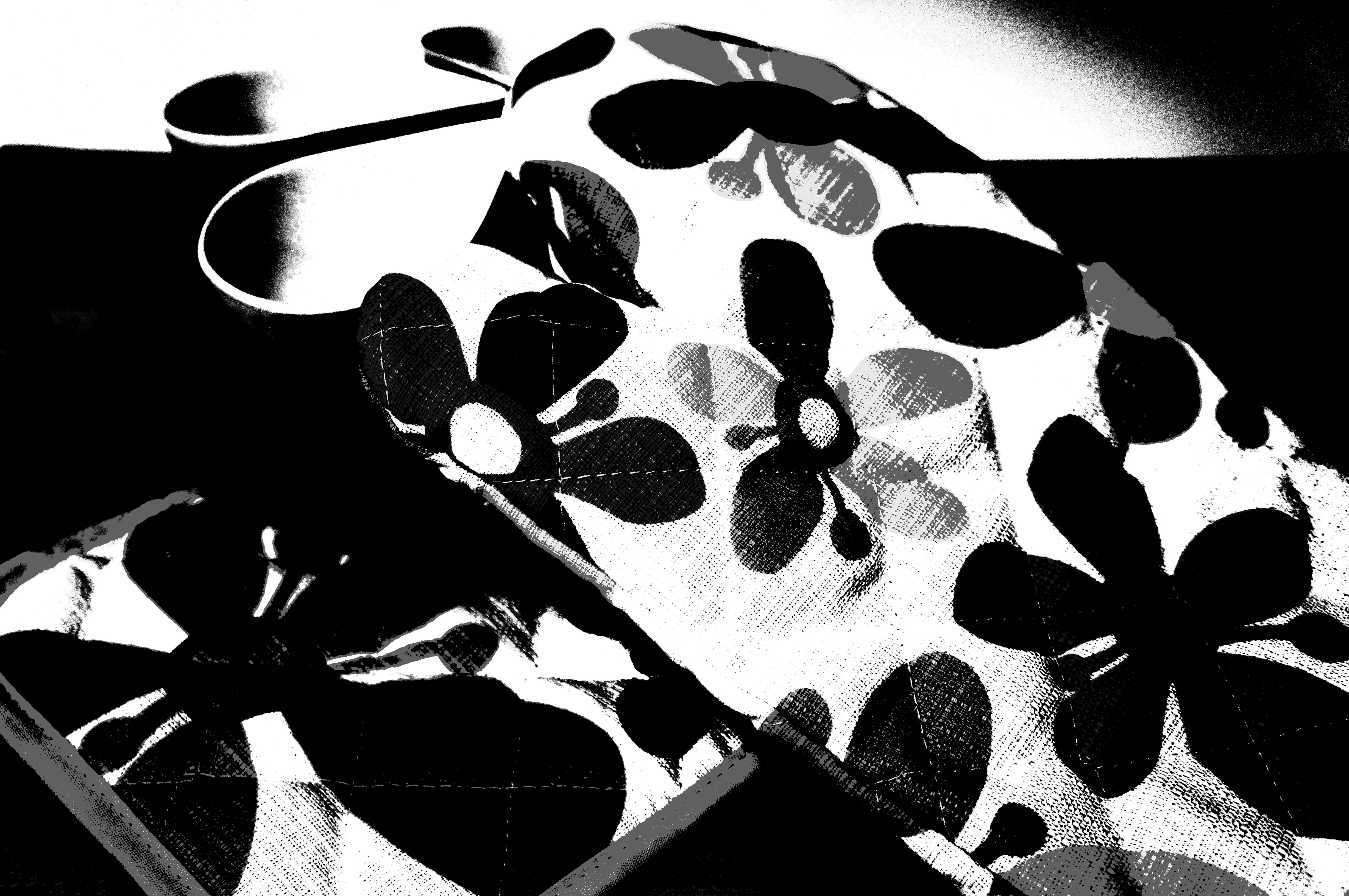 <b>ピクチャーエフェクト:ポスタリゼーション（モノクロ）+明るさ:少し暗く / NEX-C3 / E 18-55mm F3.5-5.6 OSS / 約3.9MB / 4,912×3,264 / 1/60秒 / F4 / -0.7EV / ISO250 / WB:オート / 30mm</b>