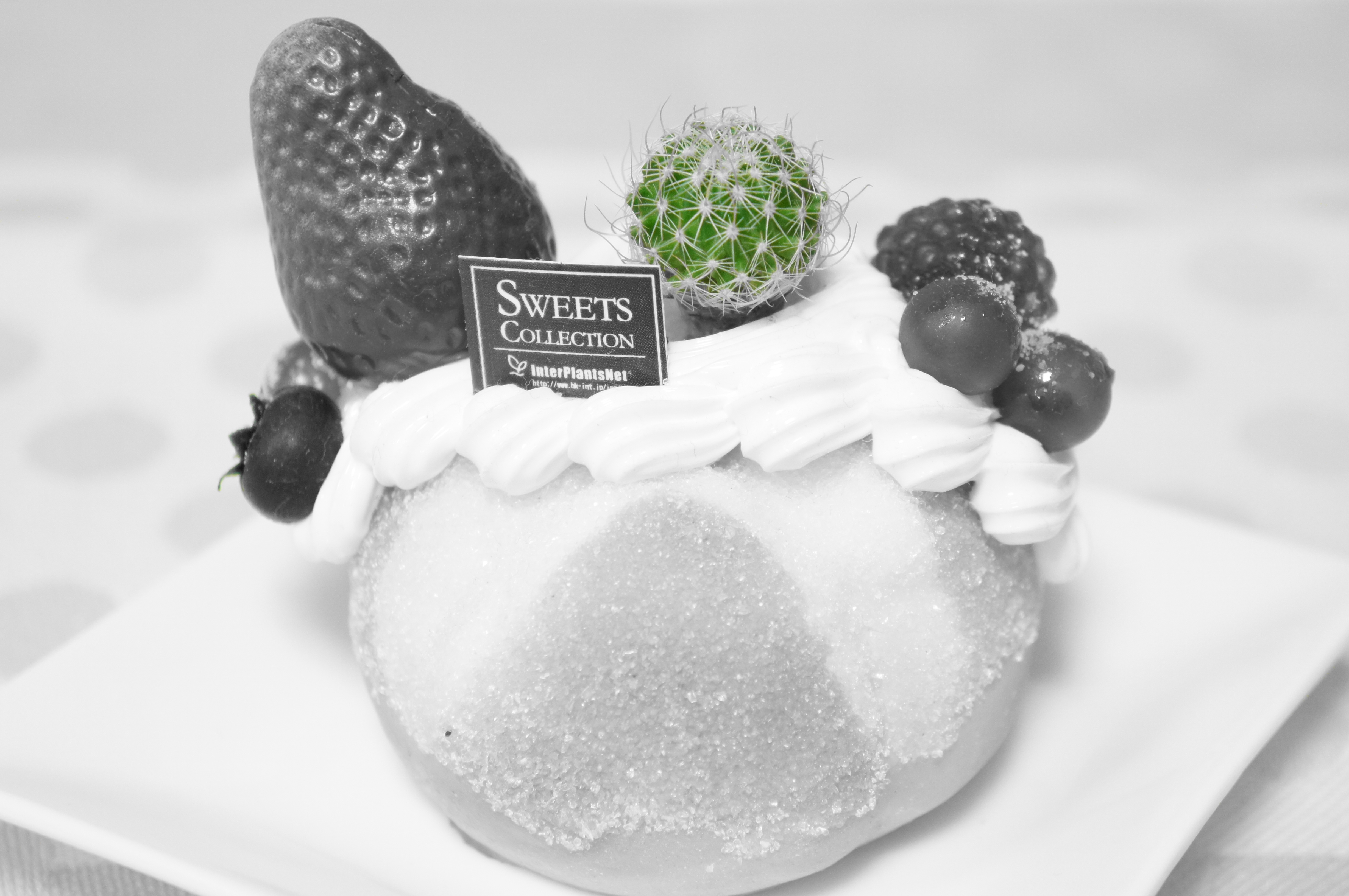 <b>ピクチャーエフェクト:パートカラー（グリーン）+明るさ:プラス / NEX-C3 / E 18-55mm F3.5-5.6 OSS / 約2.9MB / 4,912×3,264 / 1/40秒 / F5 / +2.0EV / ISO1600 / WB:オート / 46mm</b>