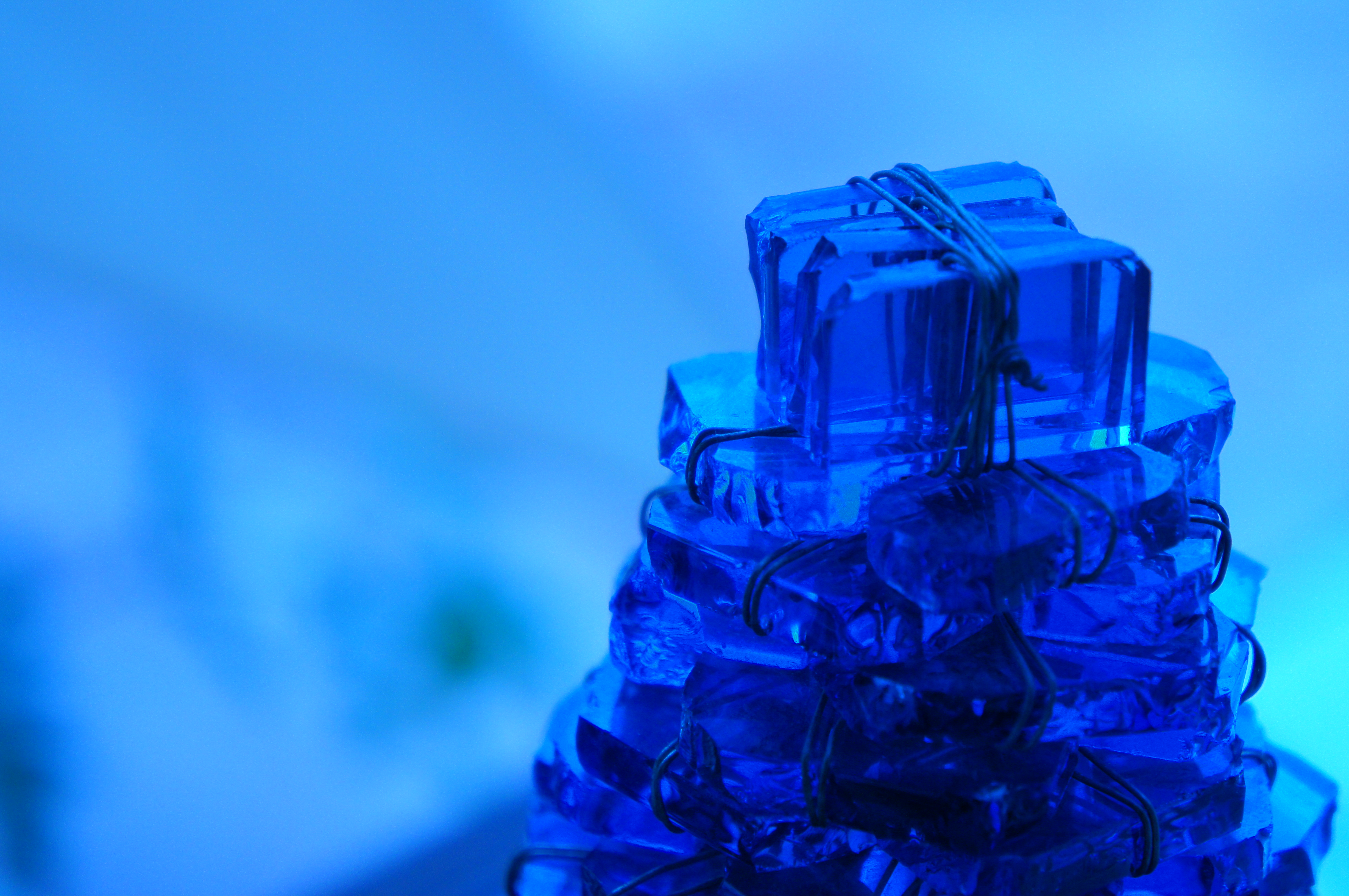 <b>メインのオブジェはもちろん、背景の色合いも変わることで印象の違う写真になるので面白いですね。色合い:クール / NEX-C3 / E 18-55mm F3.5-5.6 OSS / 約5.1MB / 4,912×3,264 / 1/160秒 / F5.6 / 0.0EV / ISO800 / WB:オート / 55mm</b>