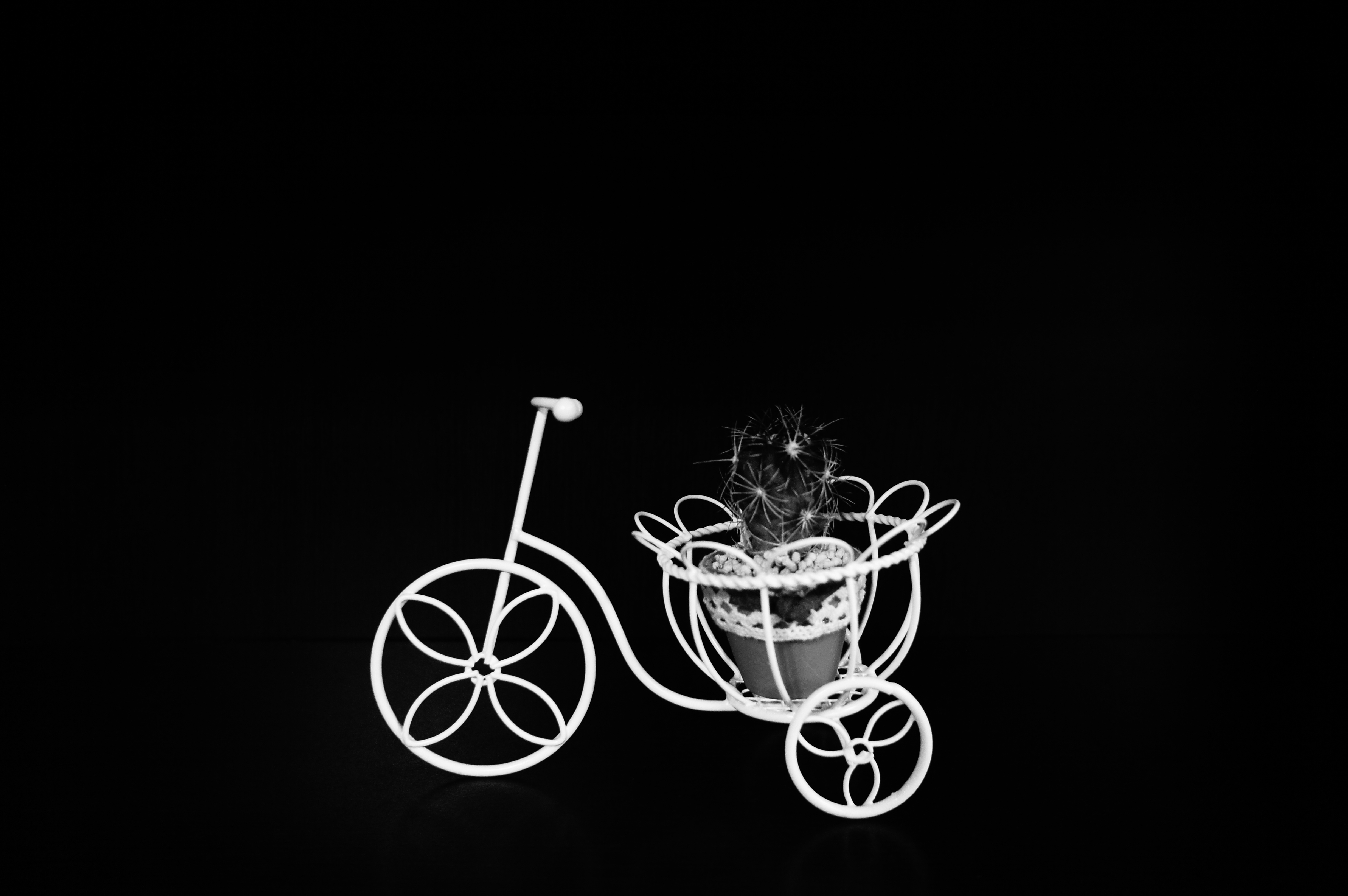 <b>モノクロにしただけだと背景がうっすら見えていたので明るさをマイナスにしたら、まるで影絵のようになりました。ピクチャーエフェクト:ハイコントラストモノクロ+明るさ:マイナス / NEX-C3 / E 16mm F2.8 / 約1.7MB / 4,912×3,264 / 1/60秒 / F4 / -1.7EV / ISO1600 / WB:オート / 16mm</b>