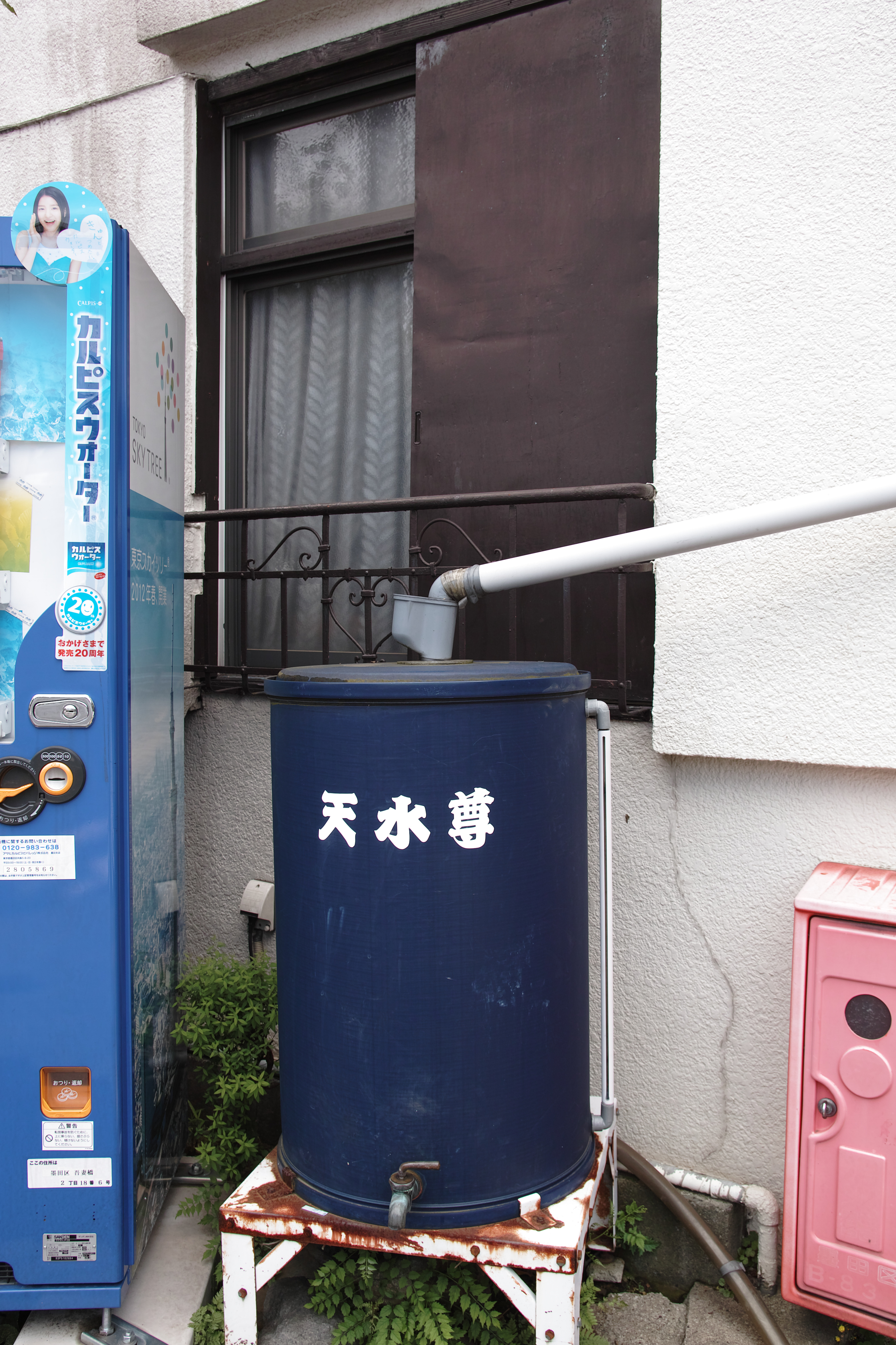 <b>RAW（JPEGに現像） / SD1 / 17-50mm F2.8 EX DC OS HSM / 約3.5MB / 3,136×4,704 / 1/100秒 / F5.6 / -0.7EV / ISO100 / WB:オート / 21mm</b>