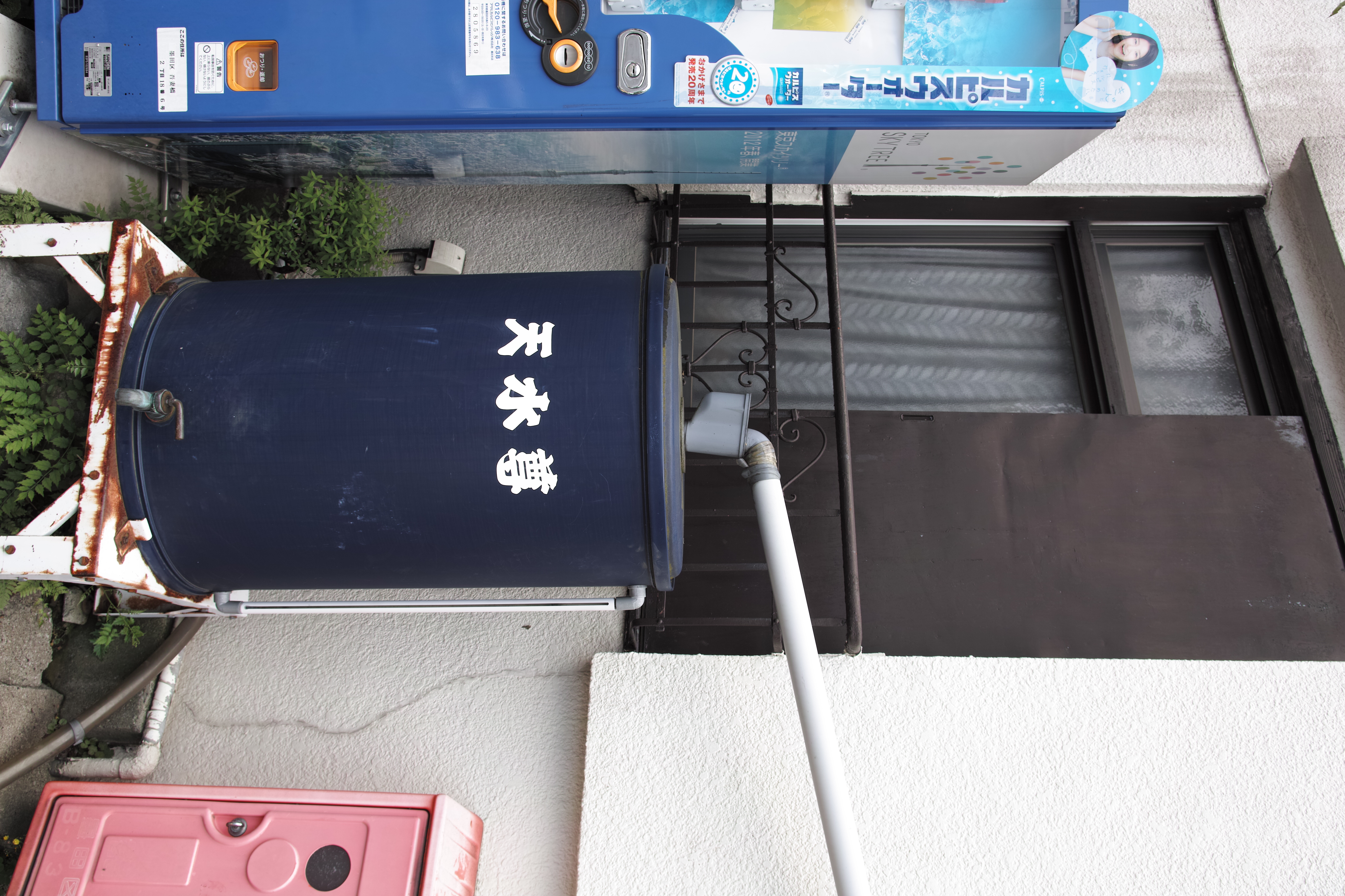 <b>JPEG（RAW+JPEG時のJPEG） / SD1 / 17-50mm F2.8 EX DC OS HSM / 約7.3MB / 3,136×4,704 / 1/100秒 / F5.6 / -0.7EV / ISO100 / WB:オート / 21mm</b>