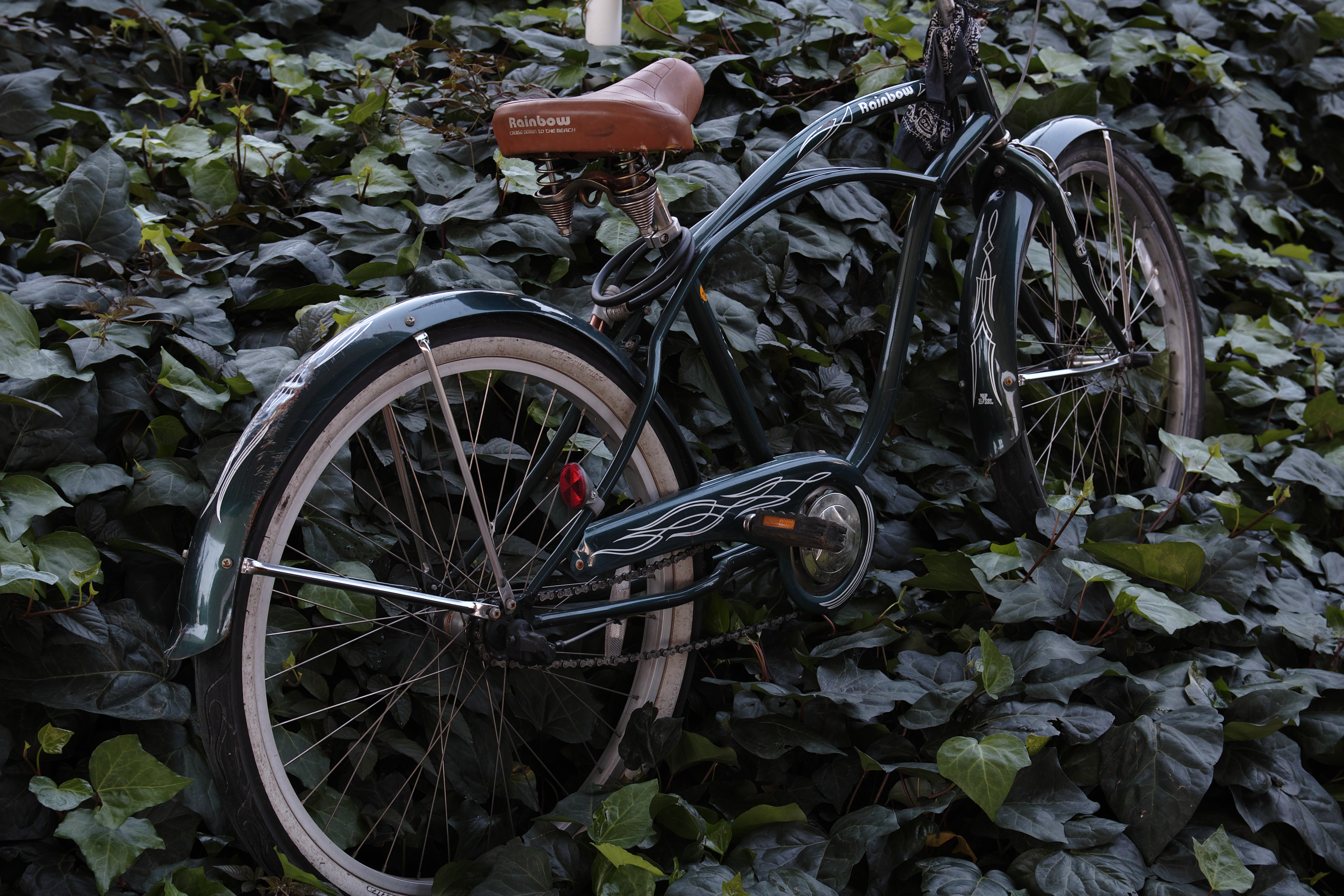 <b>RAW（JPEGに現像） / SD1 / 17-50mm F2.8 EX DC OS HSM / 約4.0MB / 4,704×3,136 / 1/50秒 / F5.6 / -2.0EV / ISO100 / WB:オート / 38mm</b>