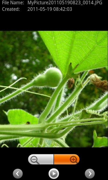 <b>myPicturetown（Android版）</b>