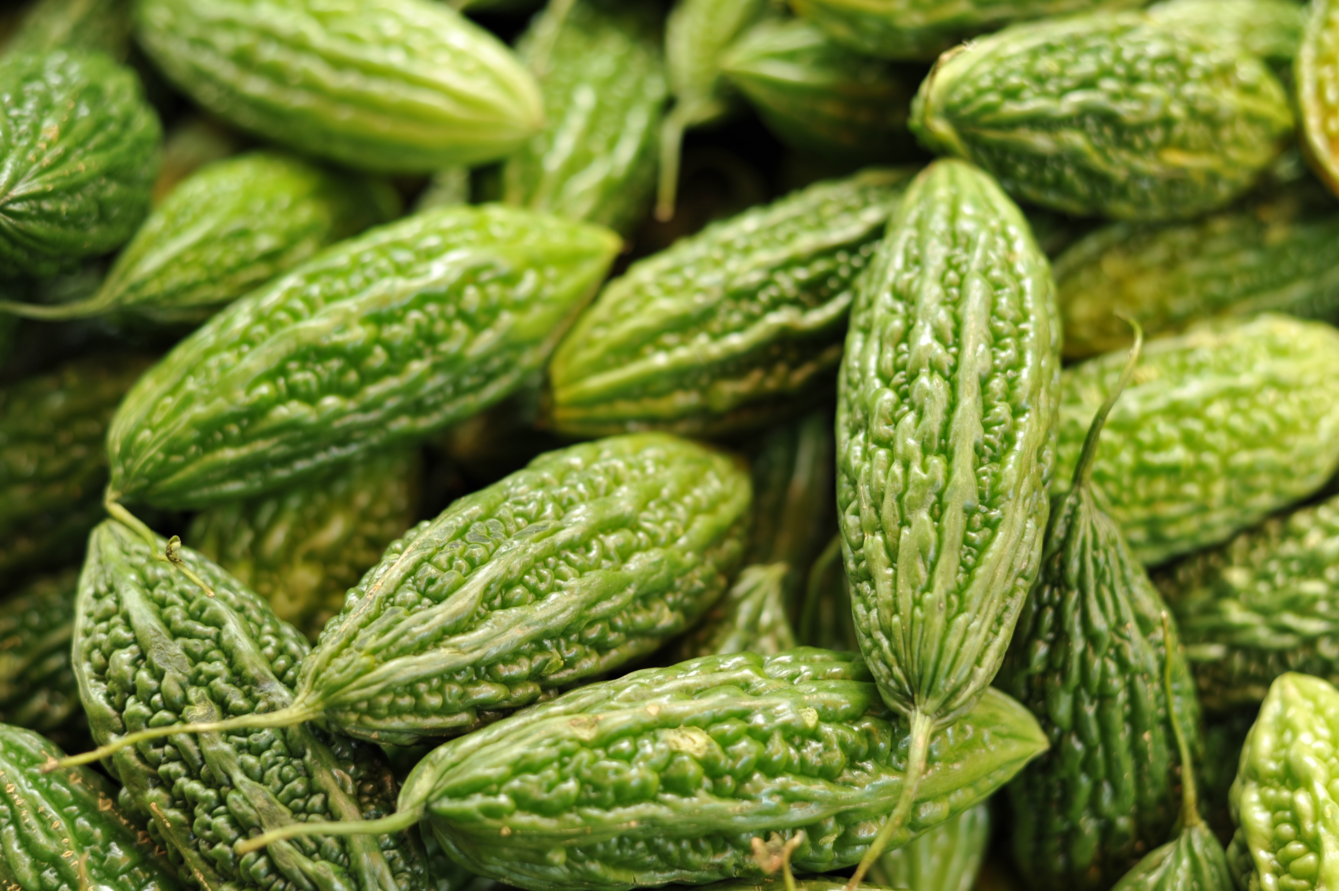 <b>D700 / AF-S NIKKOR 50mm F1.8 G / 約4.8MB / 4,256×2,832 / 1/125秒 / F2.8 / +0.3EV / ISO200 / WB:晴天</b>