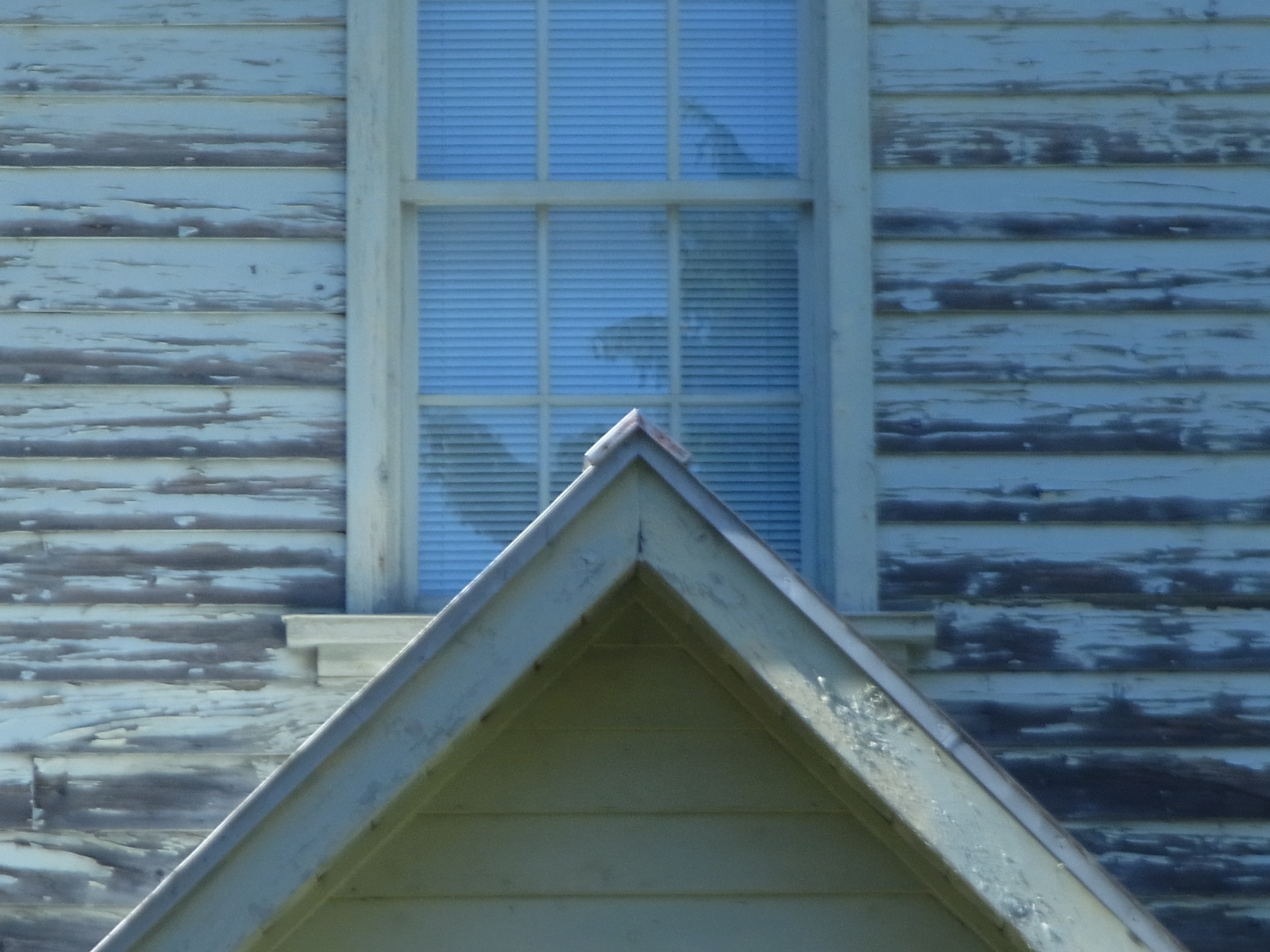 <b>超解像SRズーム10倍：280mm相当 / 4,608×3,456 / 1/176秒 / F5.4 / -0.3EV / ISO100 / WB：太陽光</b>