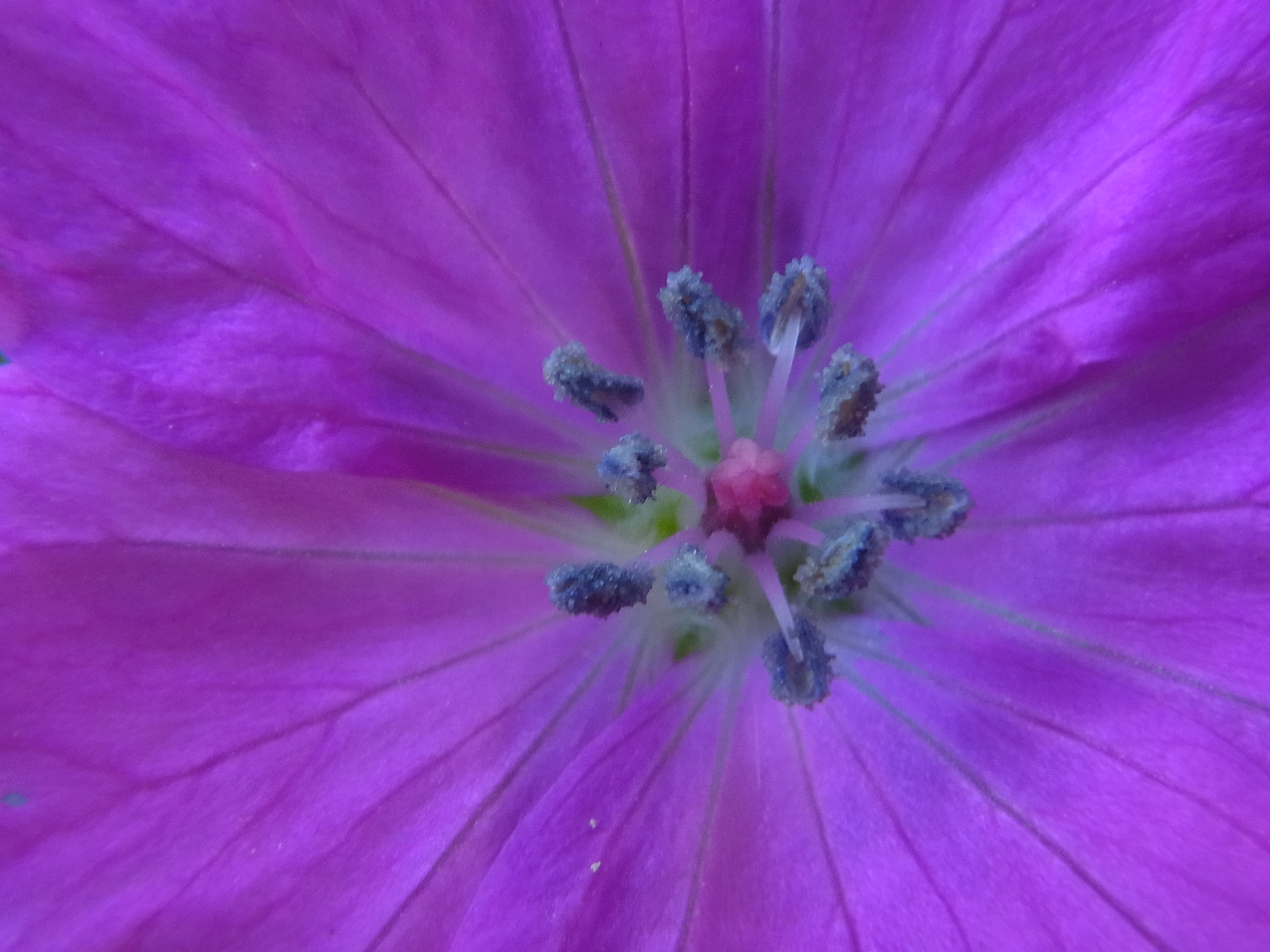 <b>4,608×3,456 / 1/36秒 / F3.9 / -0.7EV / ISO100 / WB：太陽光 / 5mm（28mm相当）</b>