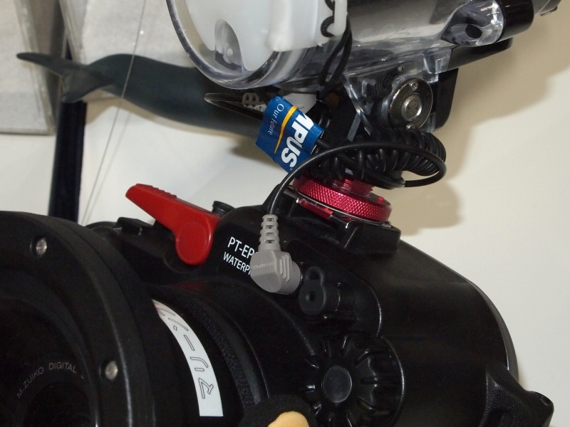 <b>ストロボは光ファイバー（グレーの端子から伸びる細いケーブル）を通じてトリガー発光させる仕組み</b>