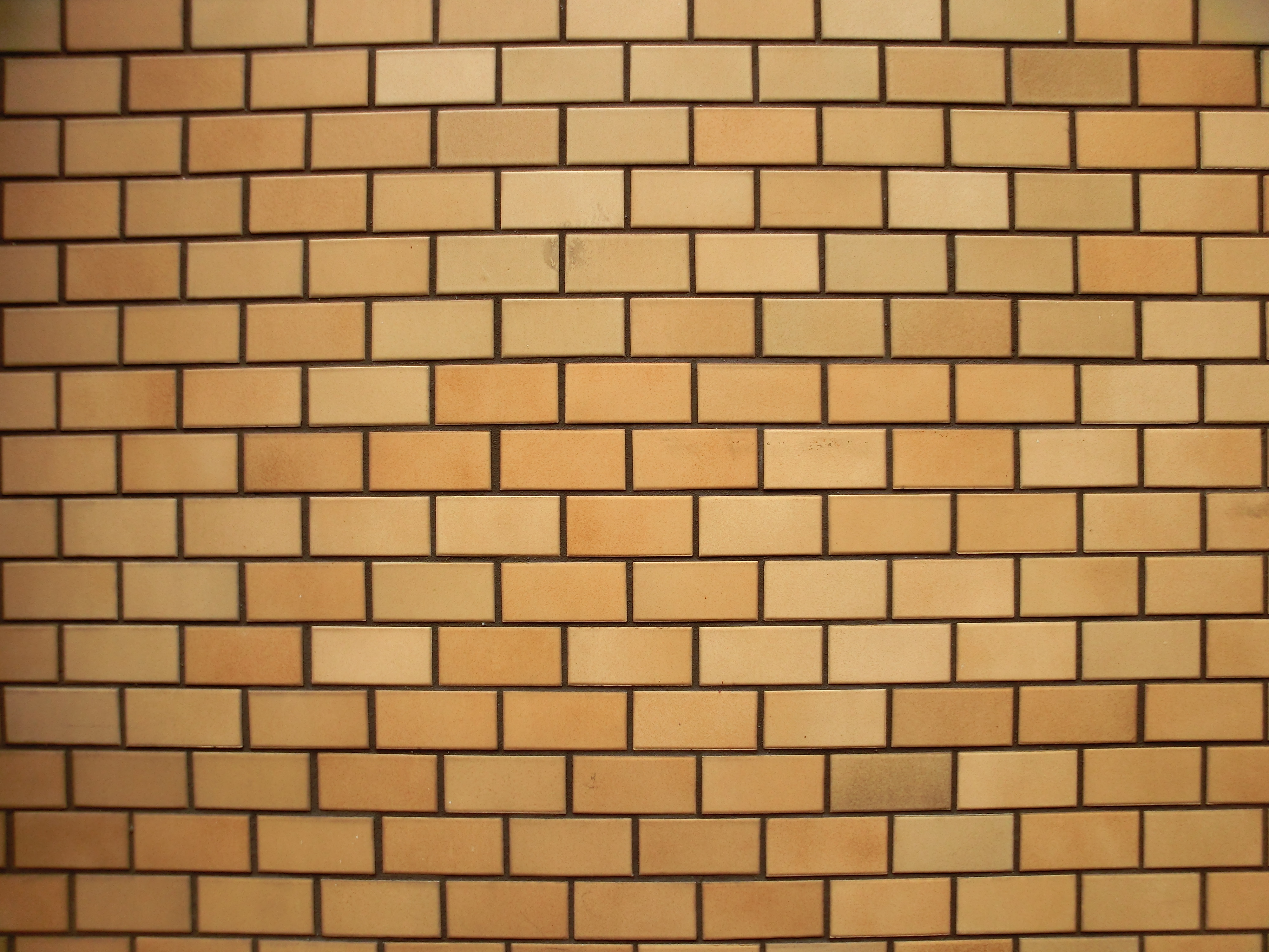 <b>EX-TR100 / 約2.9MB / 4,000×3,000 / 1/160秒 / F2.8 / 0.0EV / ISO100 / WB:日陰 / 3.8mm</b>