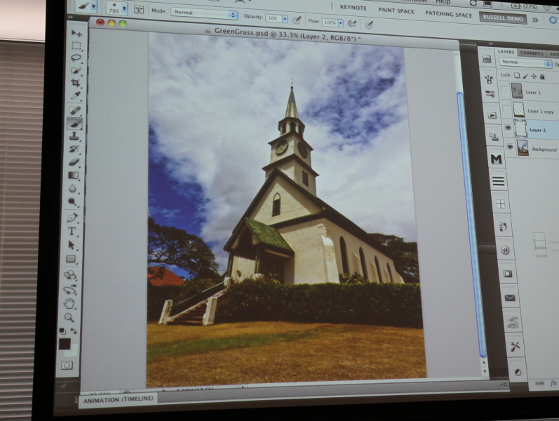 <b>元画像。芝生の大部分が枯れてしまっている</b>