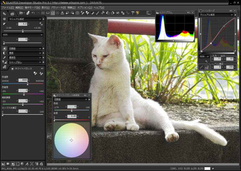 <b>SILKYPIX Developer Studio Pro5 Windows版（画像はRC版）</b>