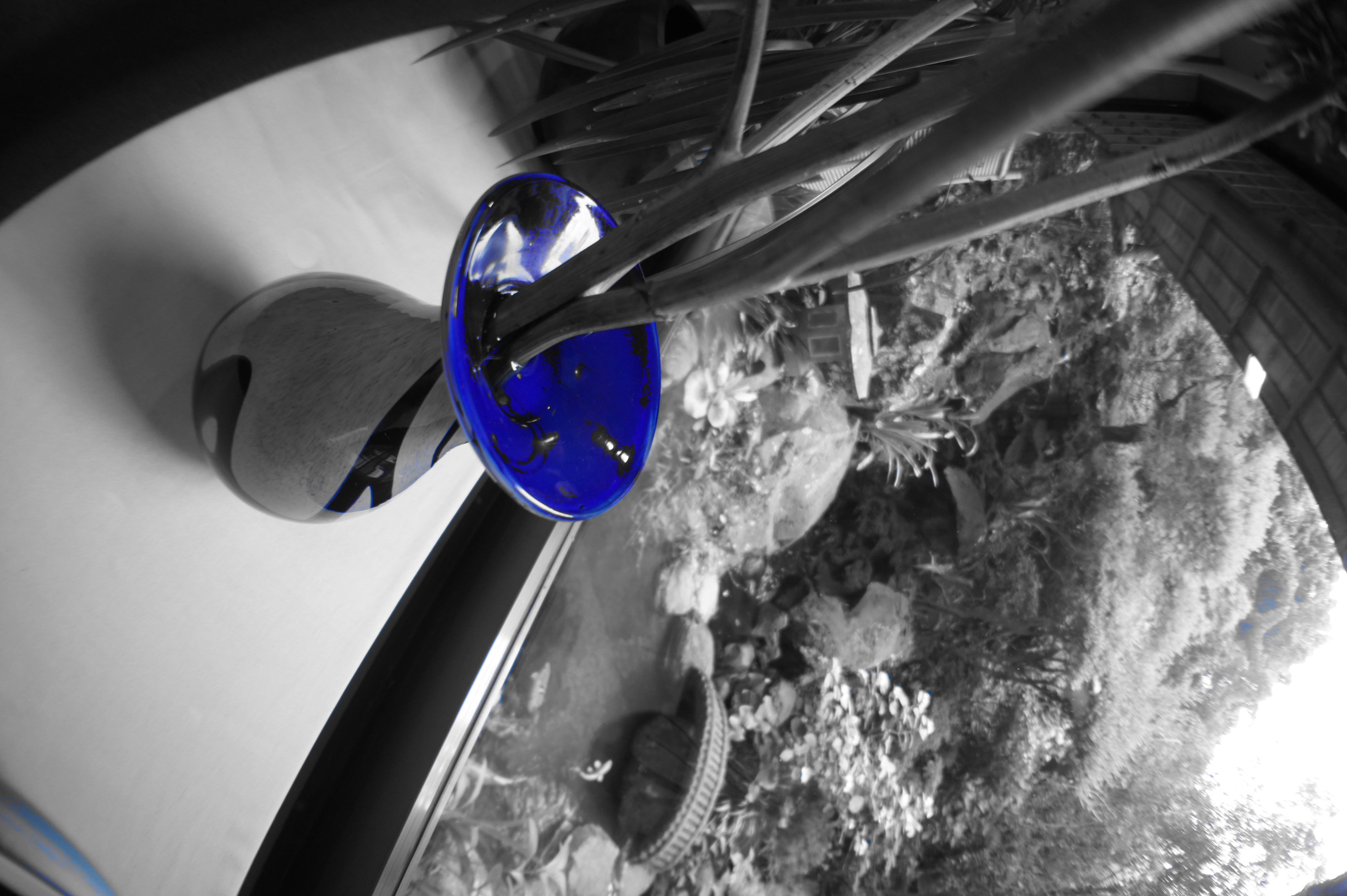 <b>ピクチャーエフェクト:パートカラー（ブルー） / NEX-5 / E 16mm F2.8 / 約3.2MB / 3,056×4,592 / 1/30秒 / F3.2 / 0.0EV / ISO200 / WB:オート / 16mm</b>