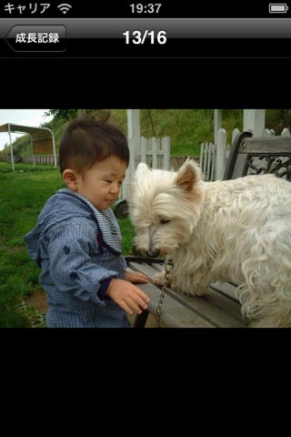 <b>MyPhotoBox（iPhone用アプリ）</b>